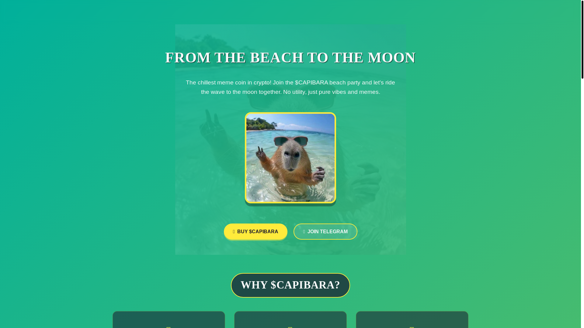website screenshot of https://kapibaracoin.xyz/