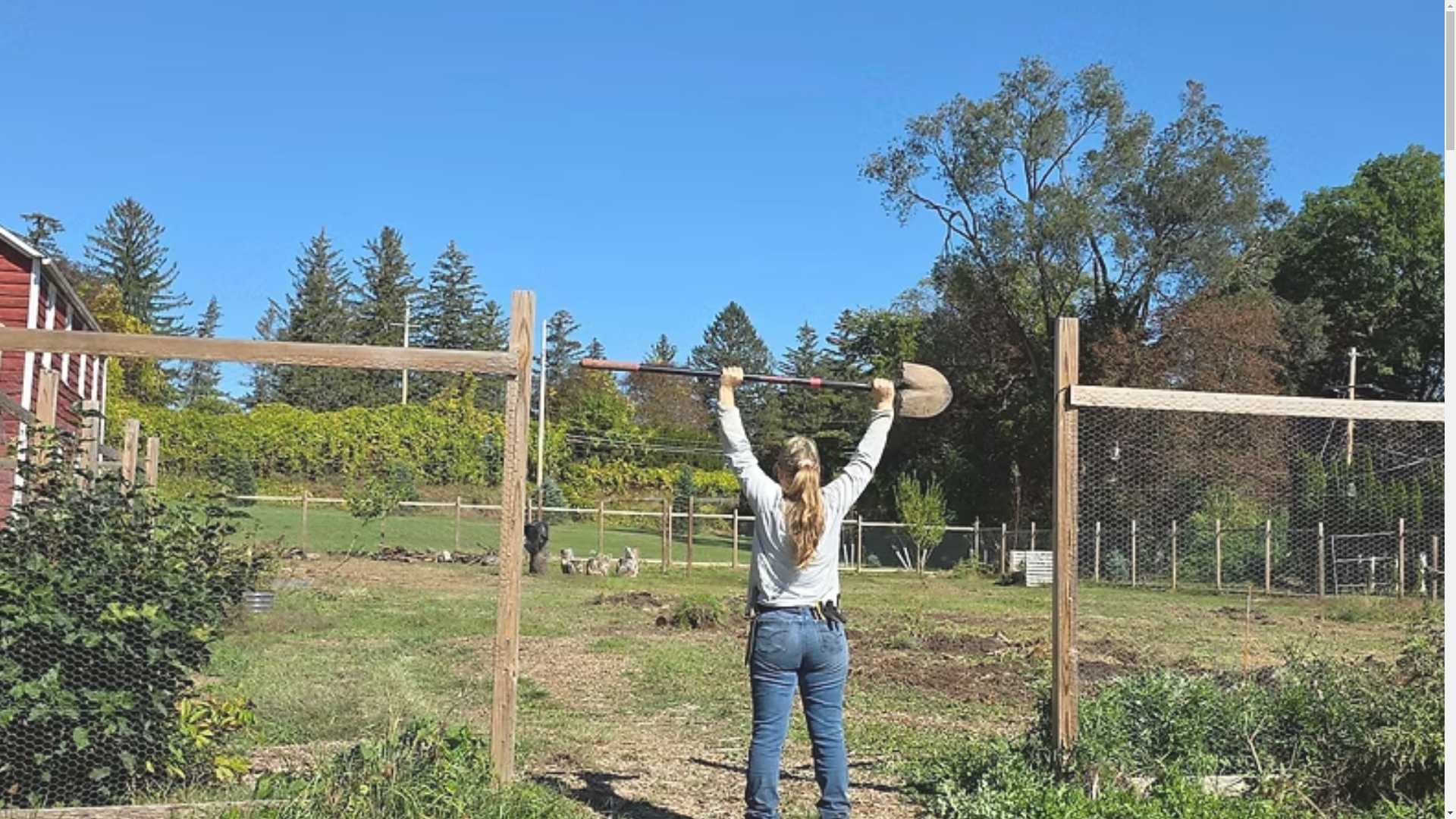 website screenshot of https://phloxmoonfarm.com/