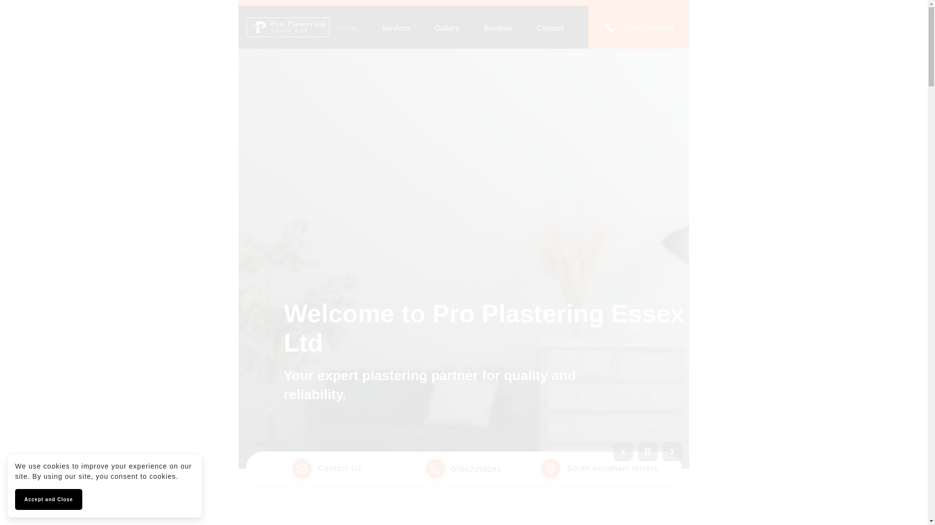 website screenshot of https://proplasteringessex.com/