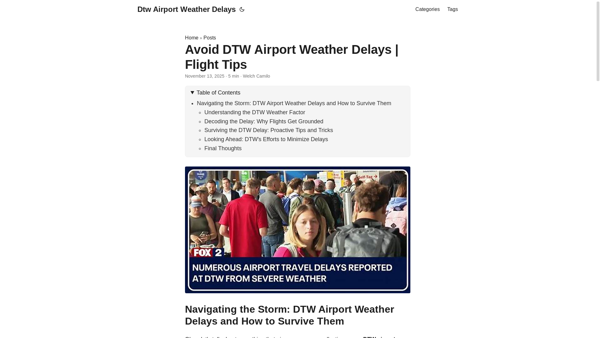 website screenshot of https://dtw-airport-weather-delays.pages.dev/