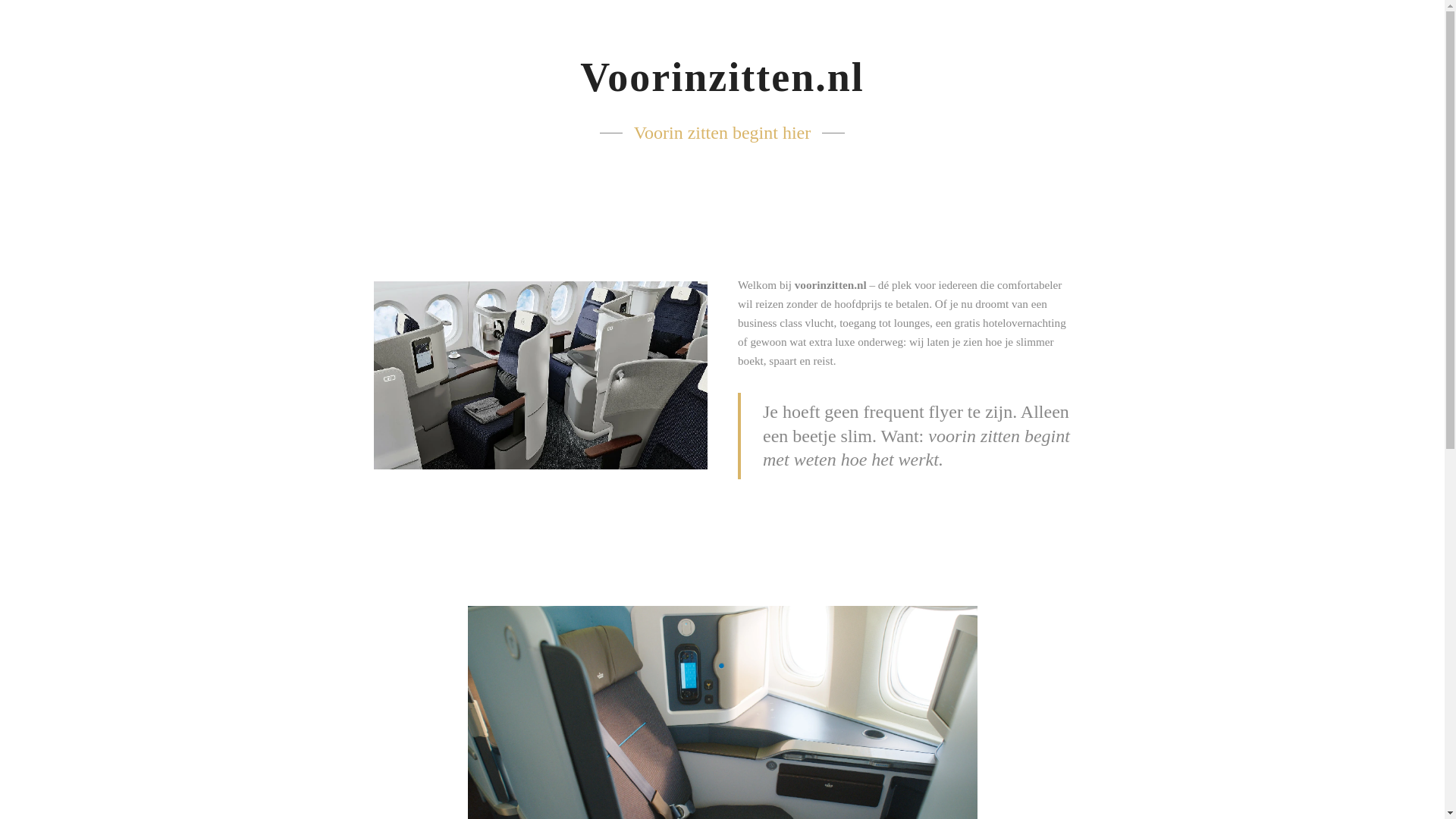 website screenshot of https://voorinzitten.nl/