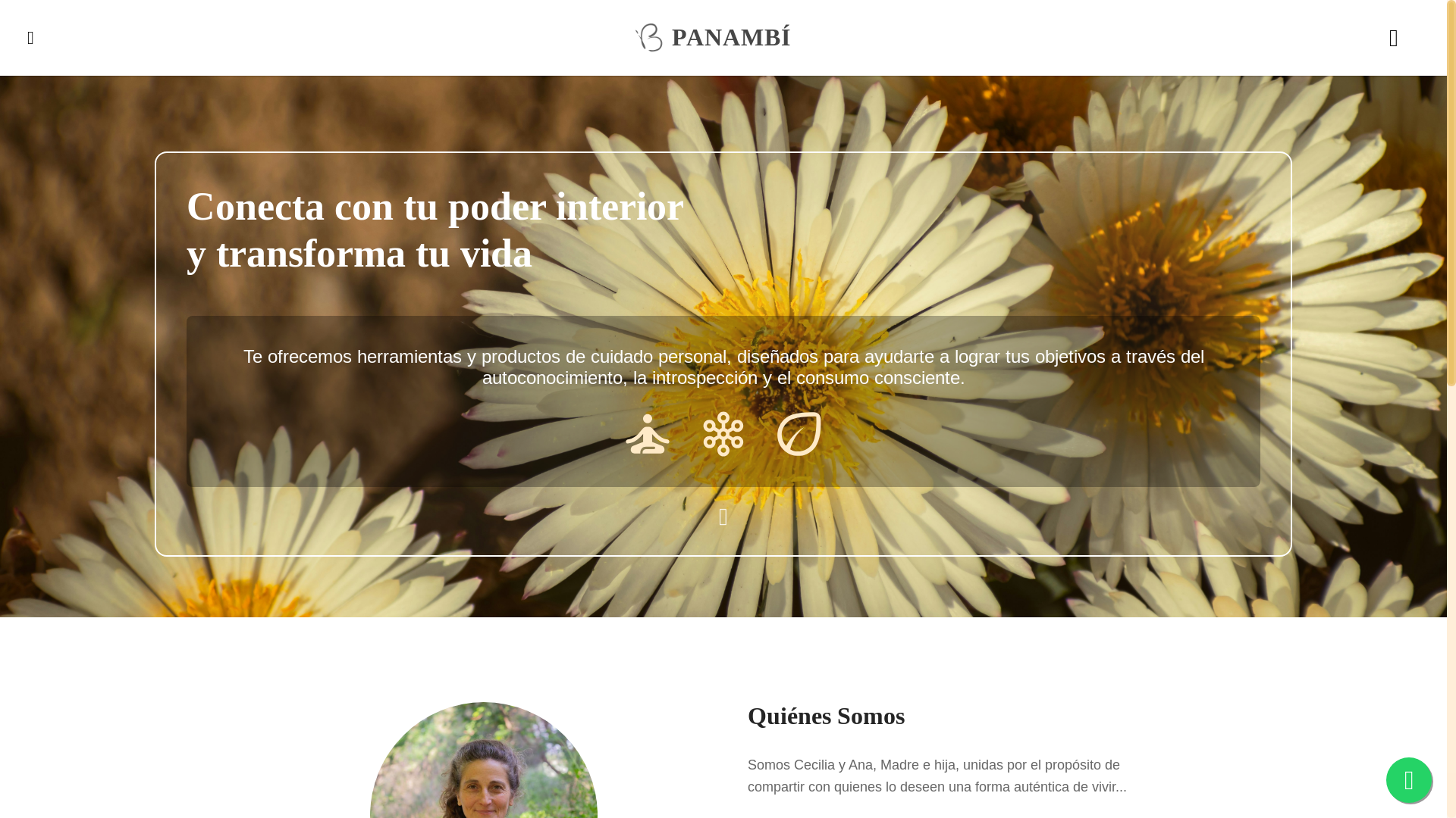 website screenshot of https://panambifront.pages.dev/