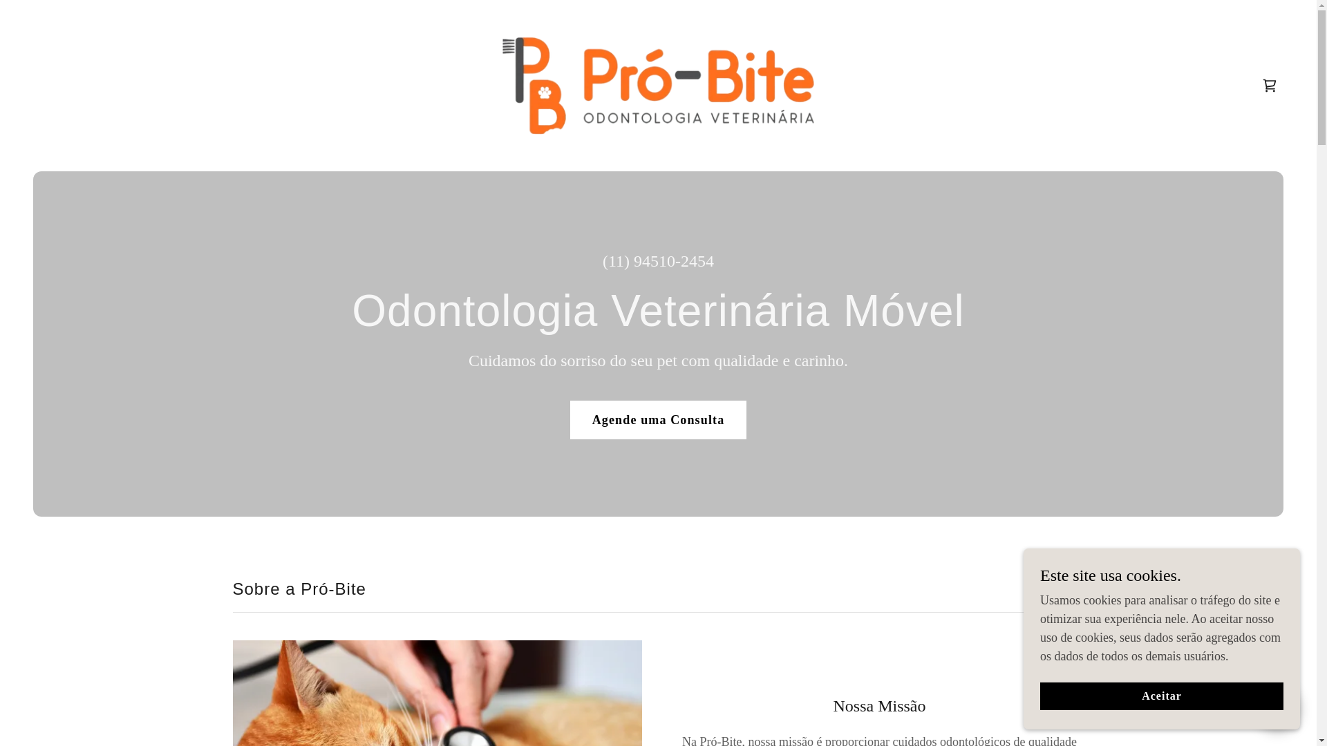 website screenshot of https://probite-vetdentista.com/