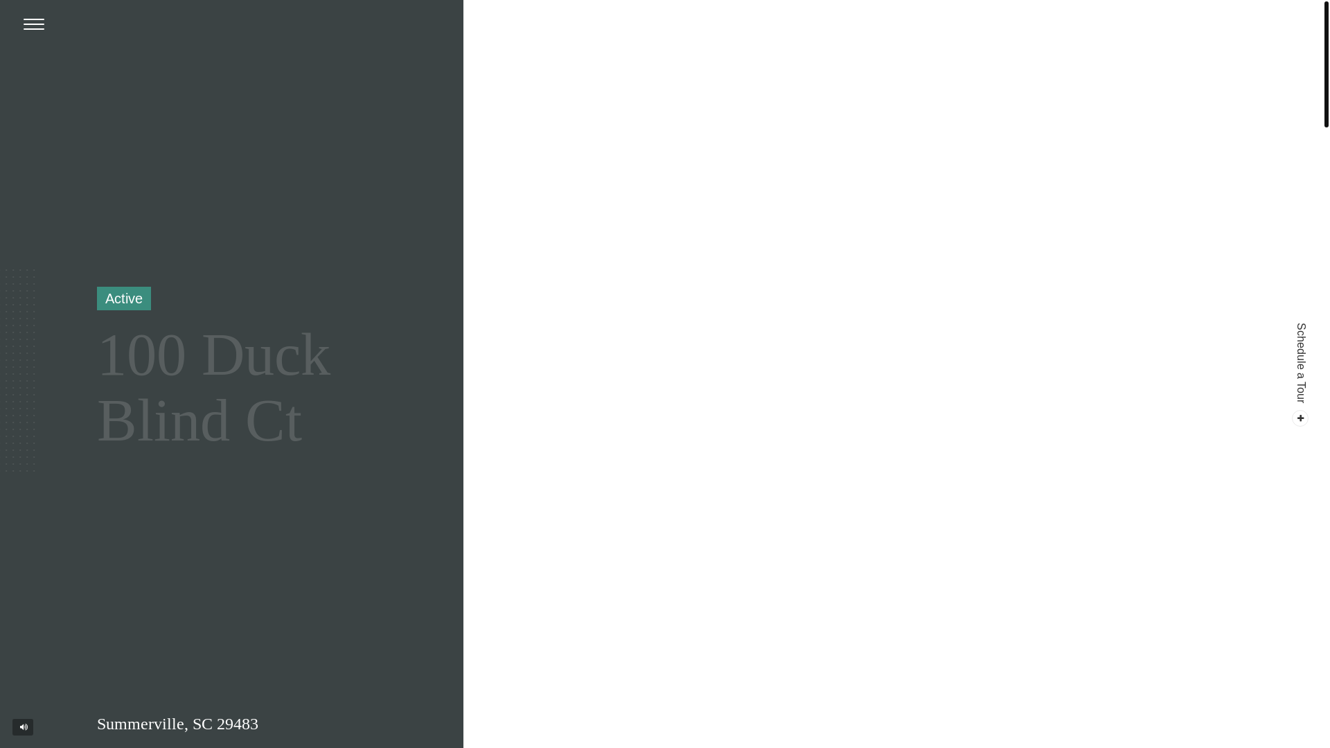 website screenshot of https://100duckblind.com/