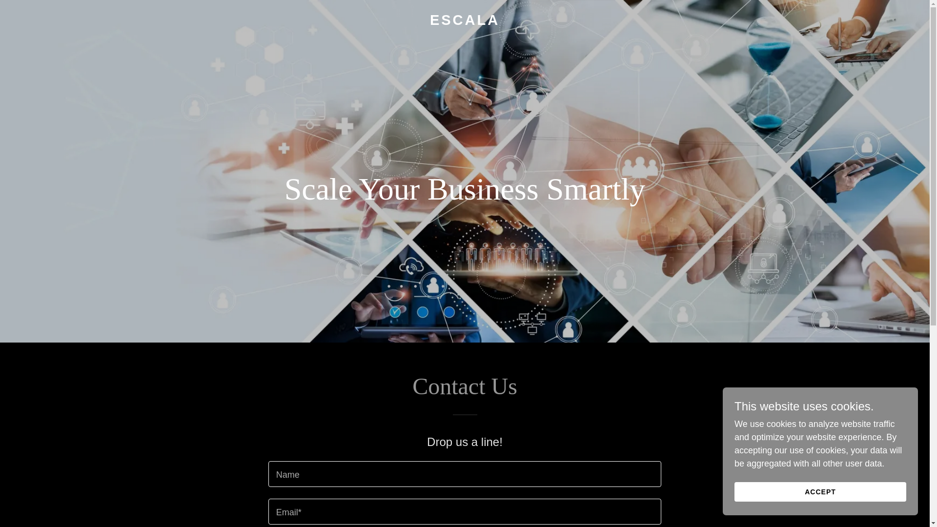 website screenshot of https://escalanetwork.com/