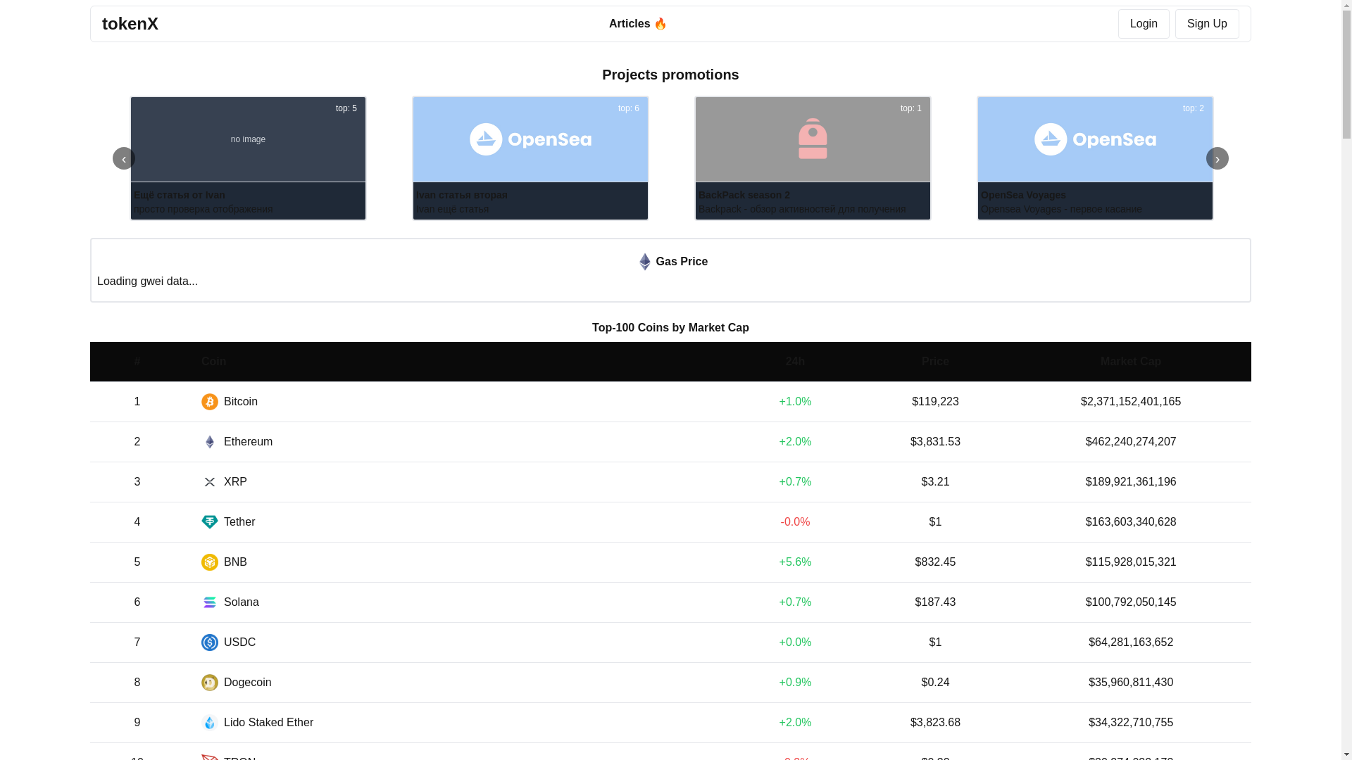 website screenshot of https://tokenx.website/
