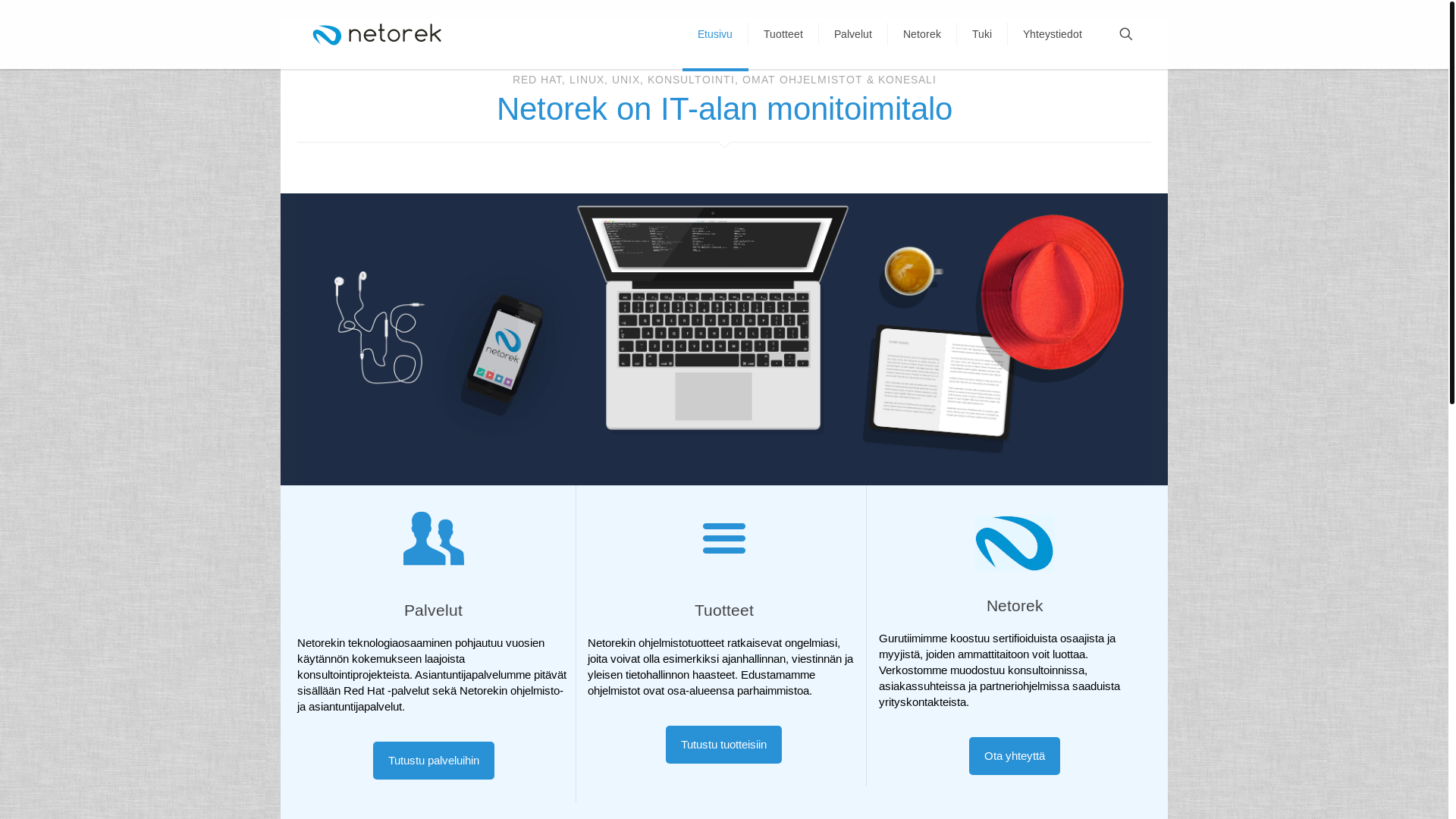 website screenshot of https://www.netorek.fi/