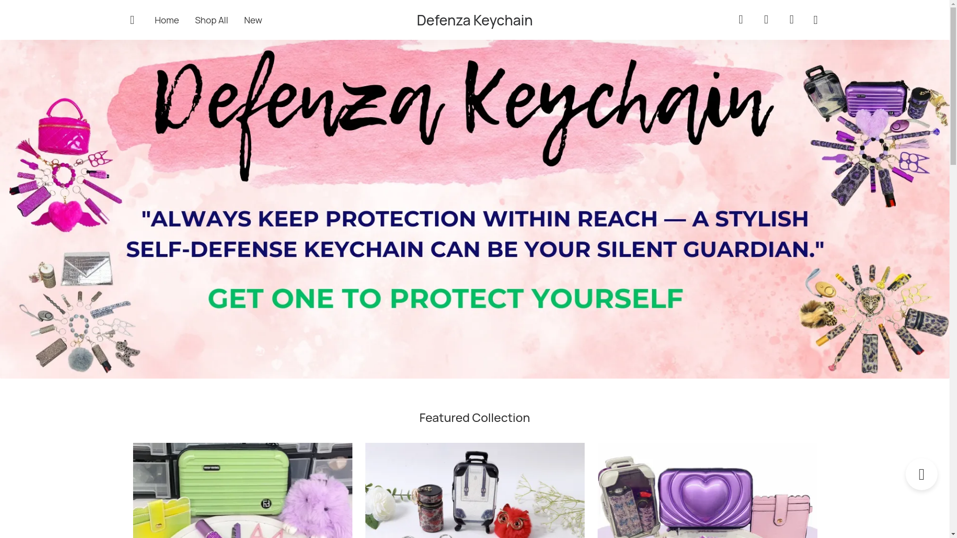 website screenshot of https://defenzakeychain.com/