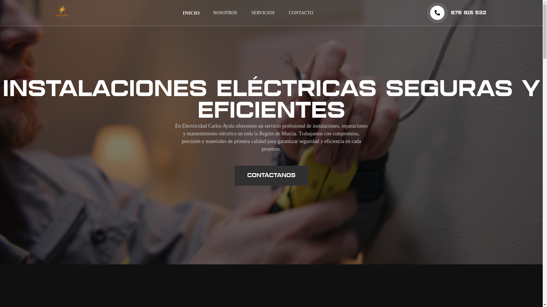 website screenshot of https://electricidadcarlosayala.es/