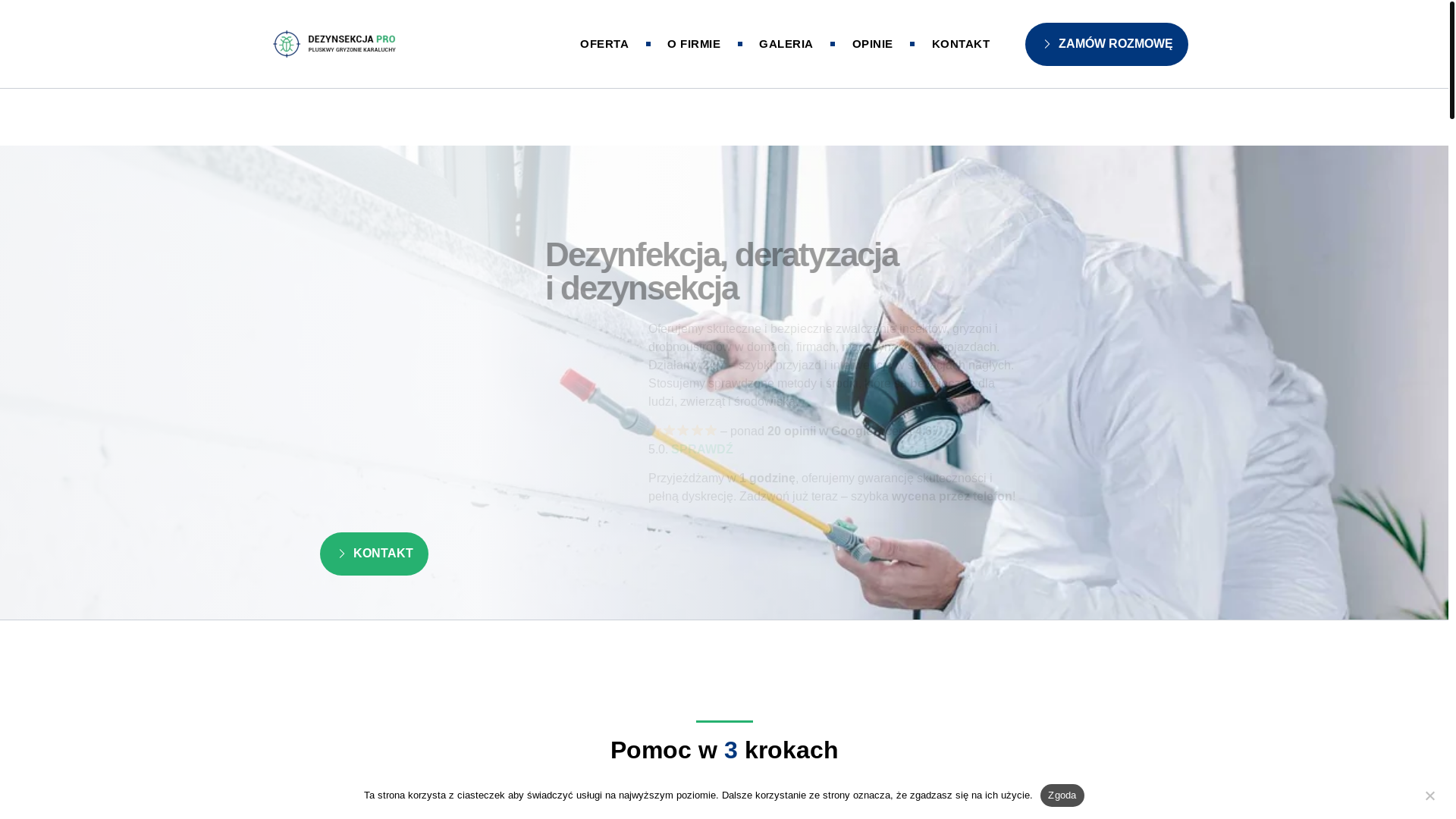 website screenshot of https://dezynsekcjaddd.pl/