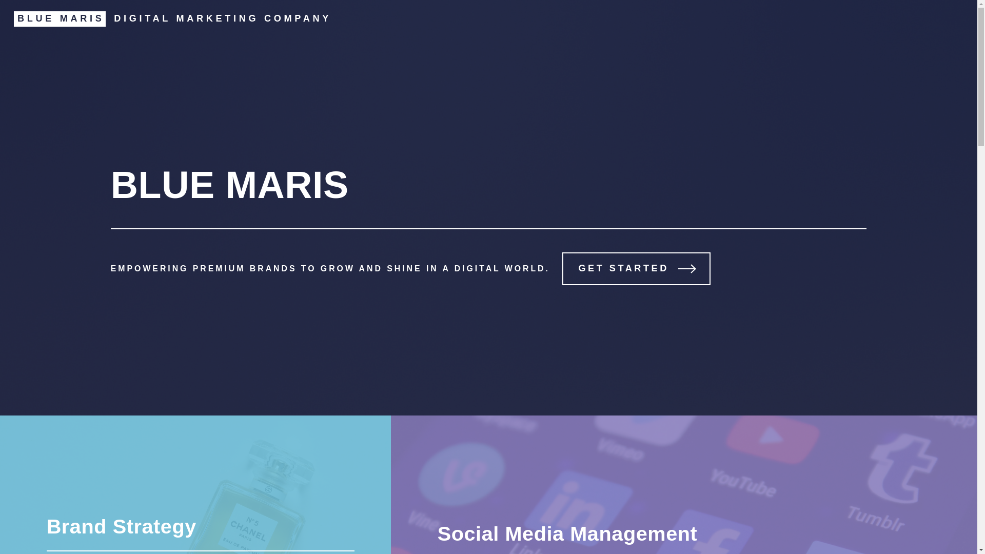website screenshot of https://blue-maris.pages.dev/
