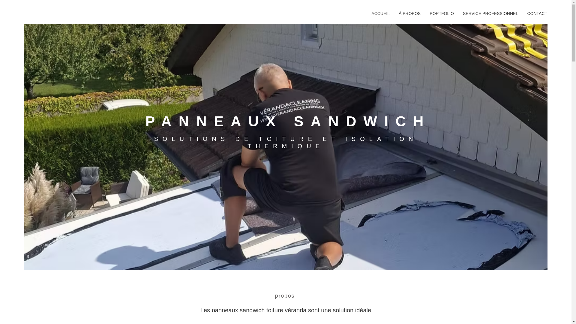 website screenshot of https://panneaux-sandwich.ch/