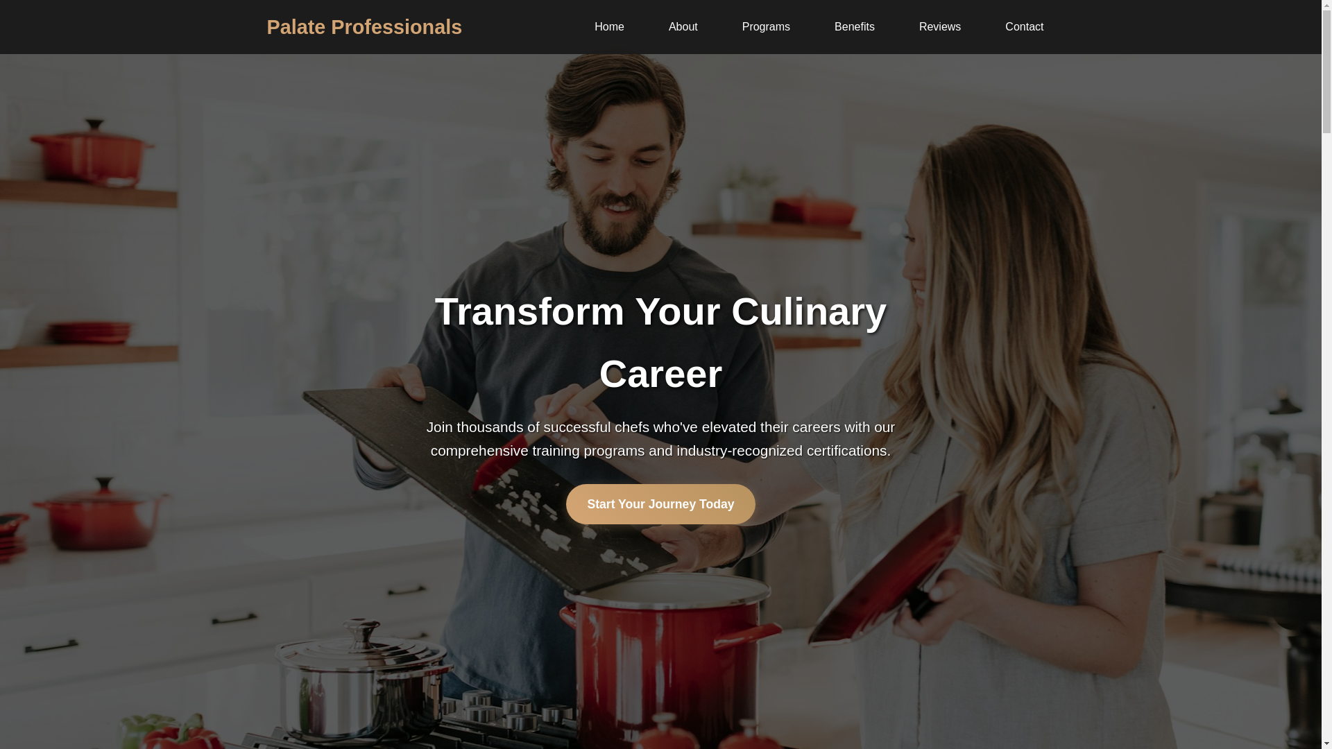 website screenshot of https://palateprofessionals.click/