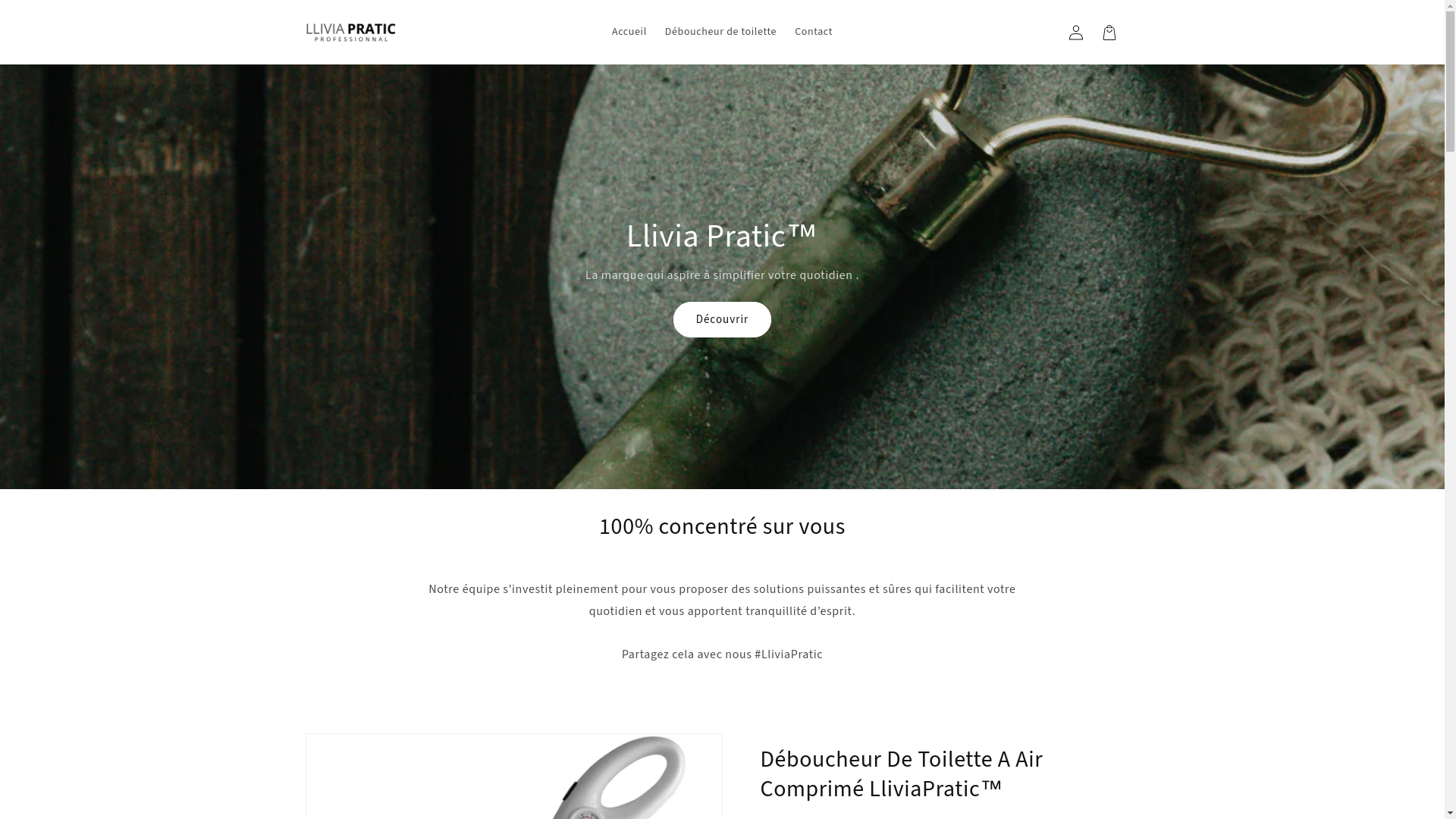 website screenshot of https://lliviapratic.com/