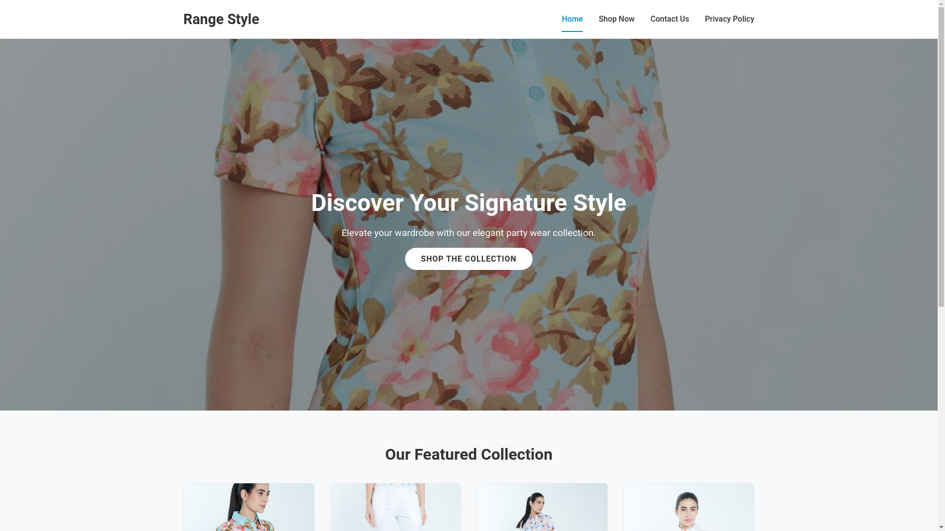 website screenshot of https://rangestyle.store/