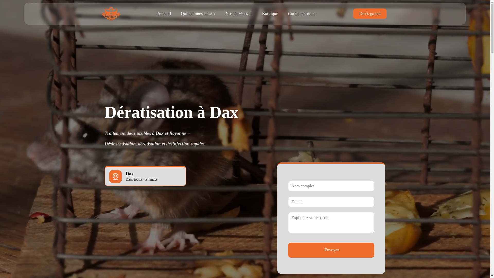 website screenshot of https://deratisation-dax.fr/