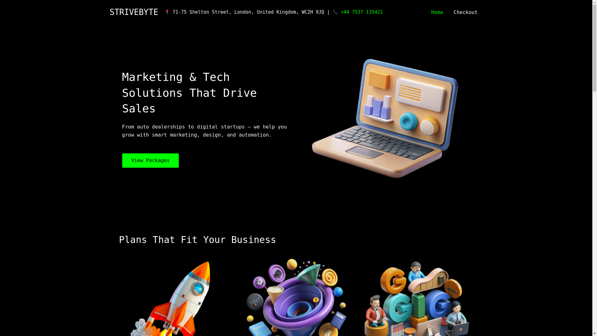 website screenshot of https://strivebyte.agency/