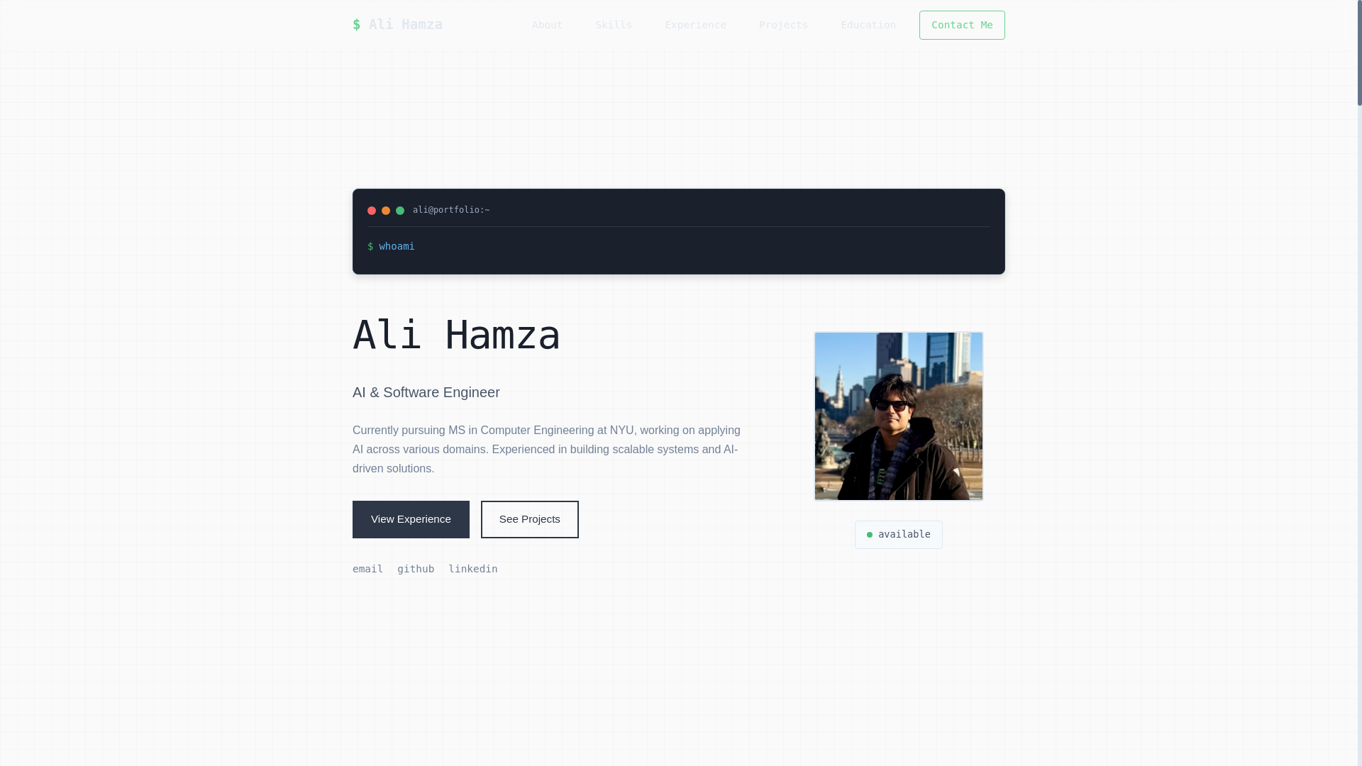 website screenshot of https://alihamzas.com/