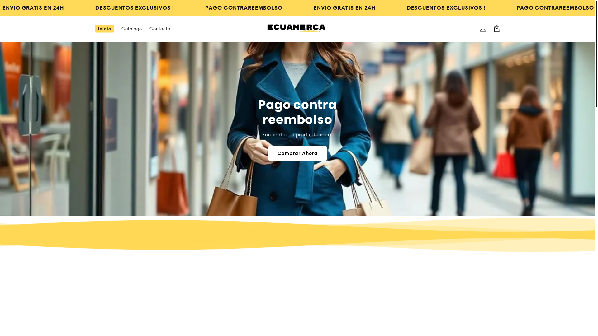 website screenshot of https://ecuamerca.com/