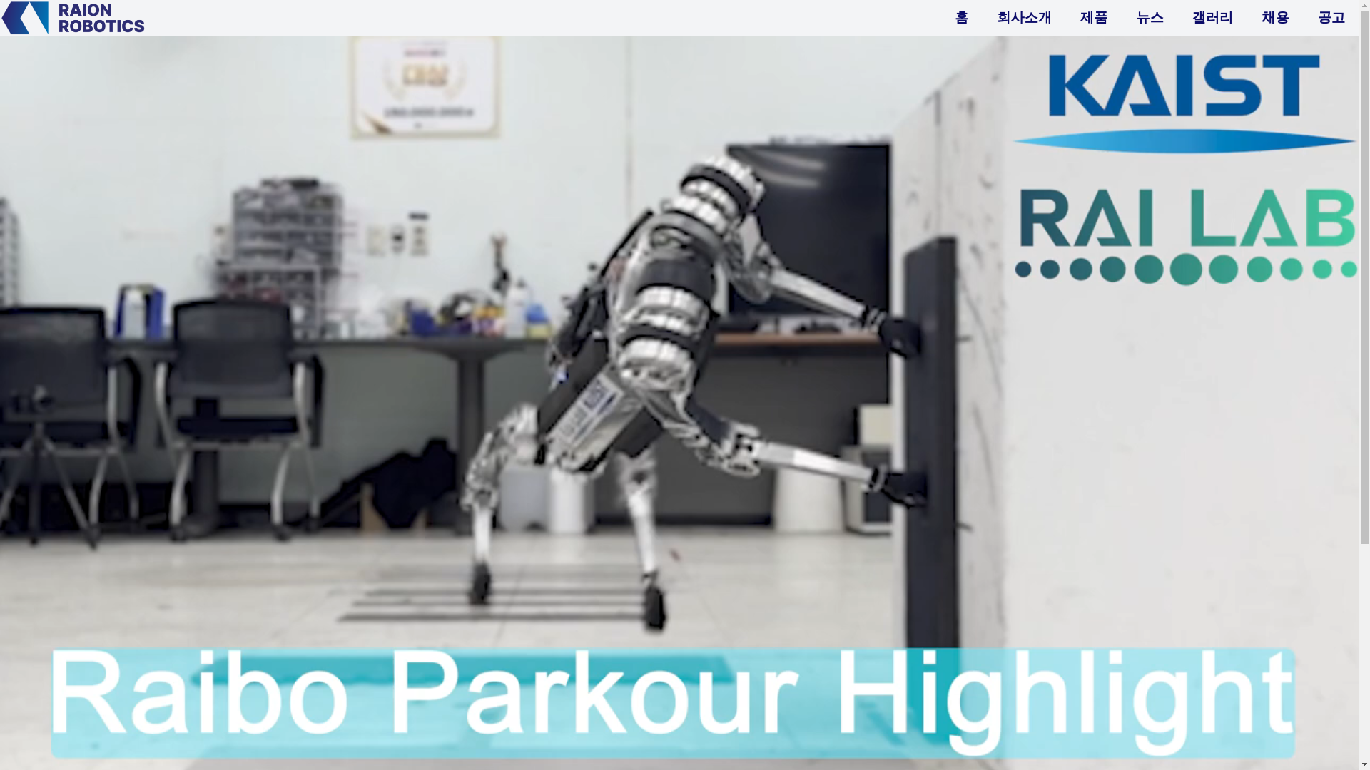 website screenshot of https://raionrobotics.pages.dev/