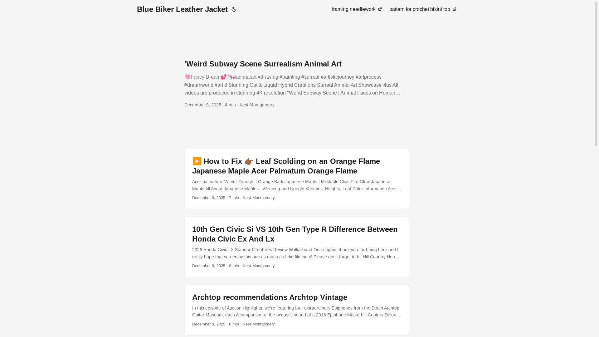 website screenshot of https://bluebikerleatherjacket.pages.dev/