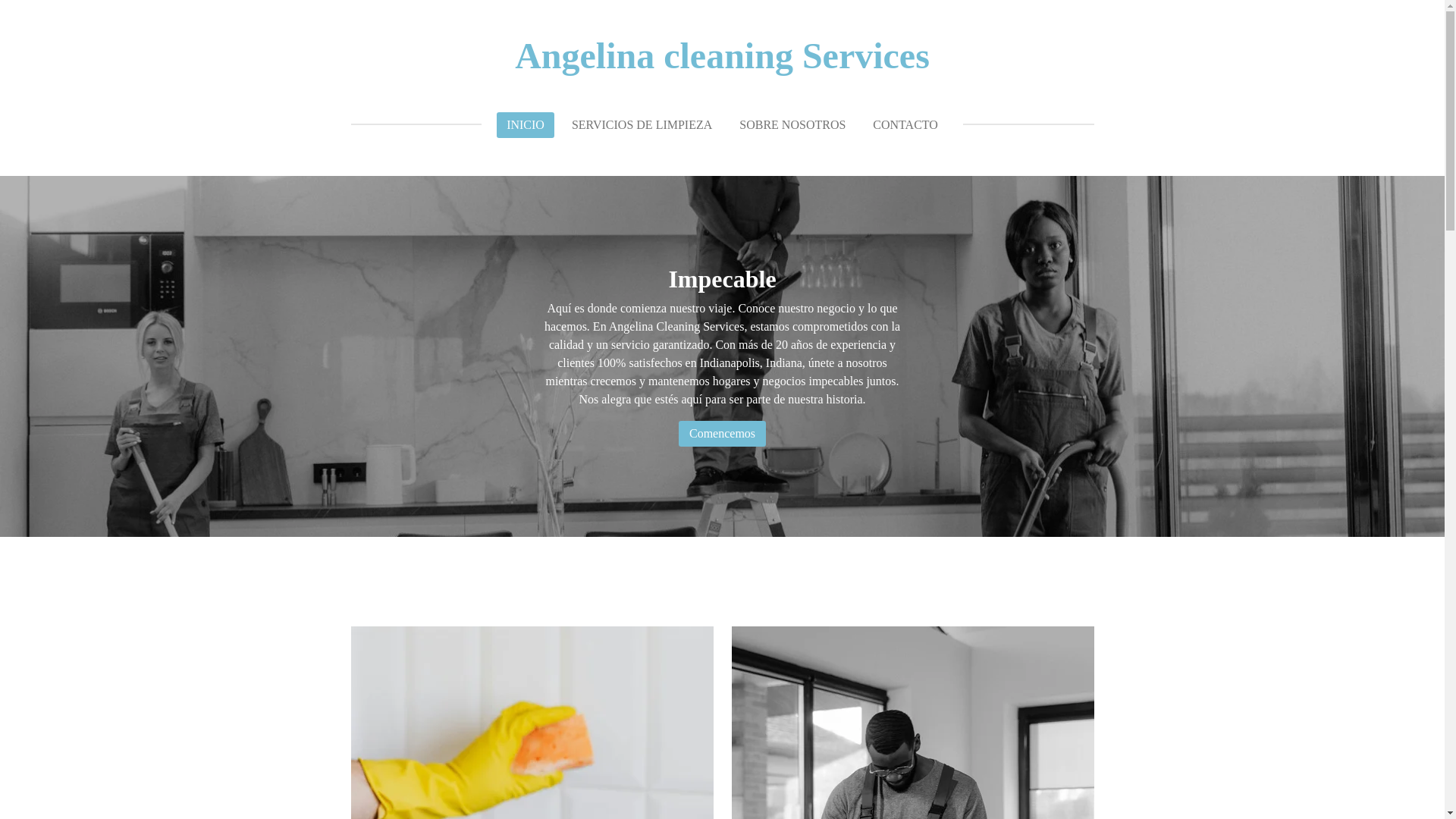 website screenshot of https://angelinacleaningservices.com/