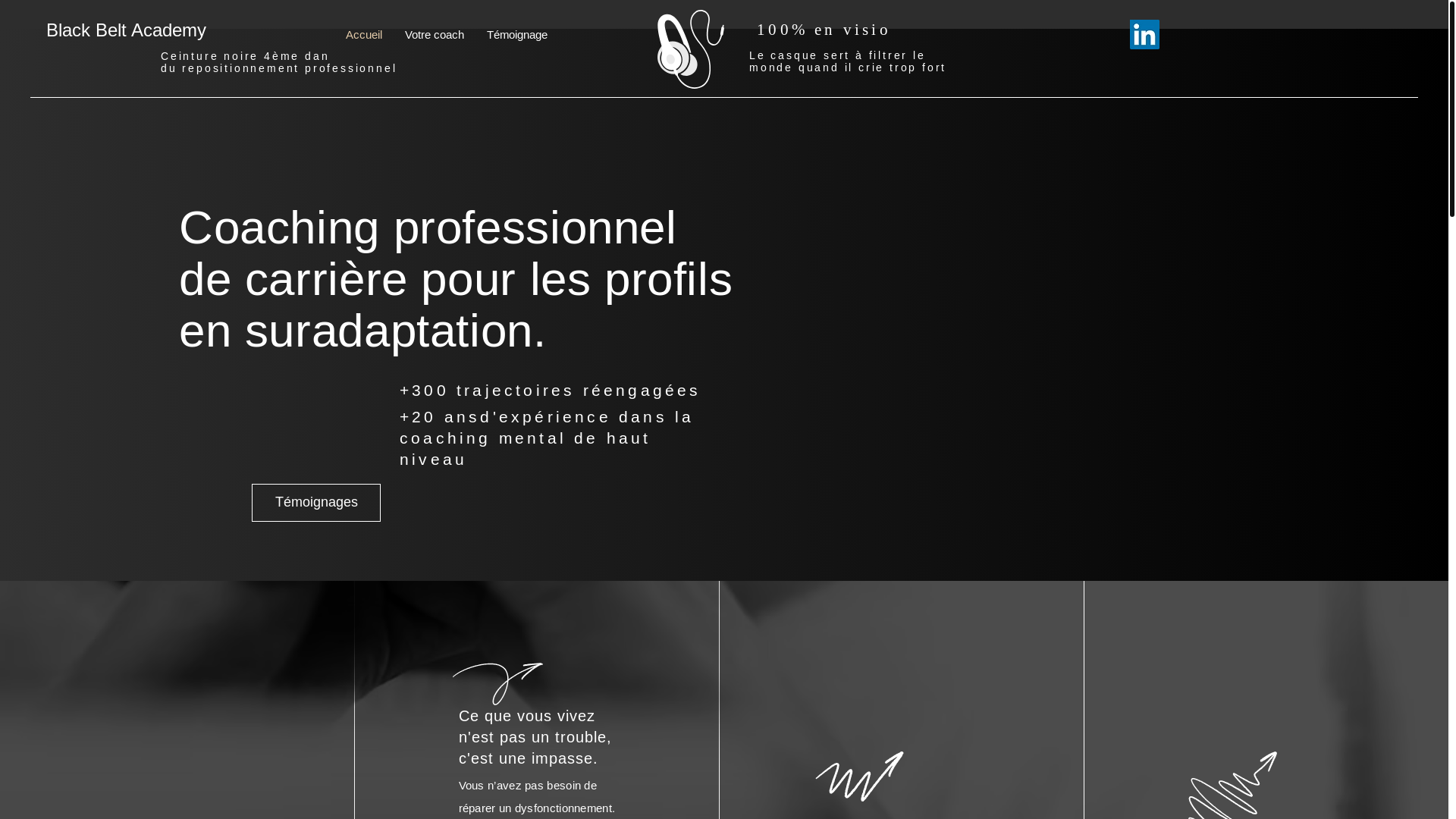 website screenshot of https://blackbeltacademy-coaching.com/