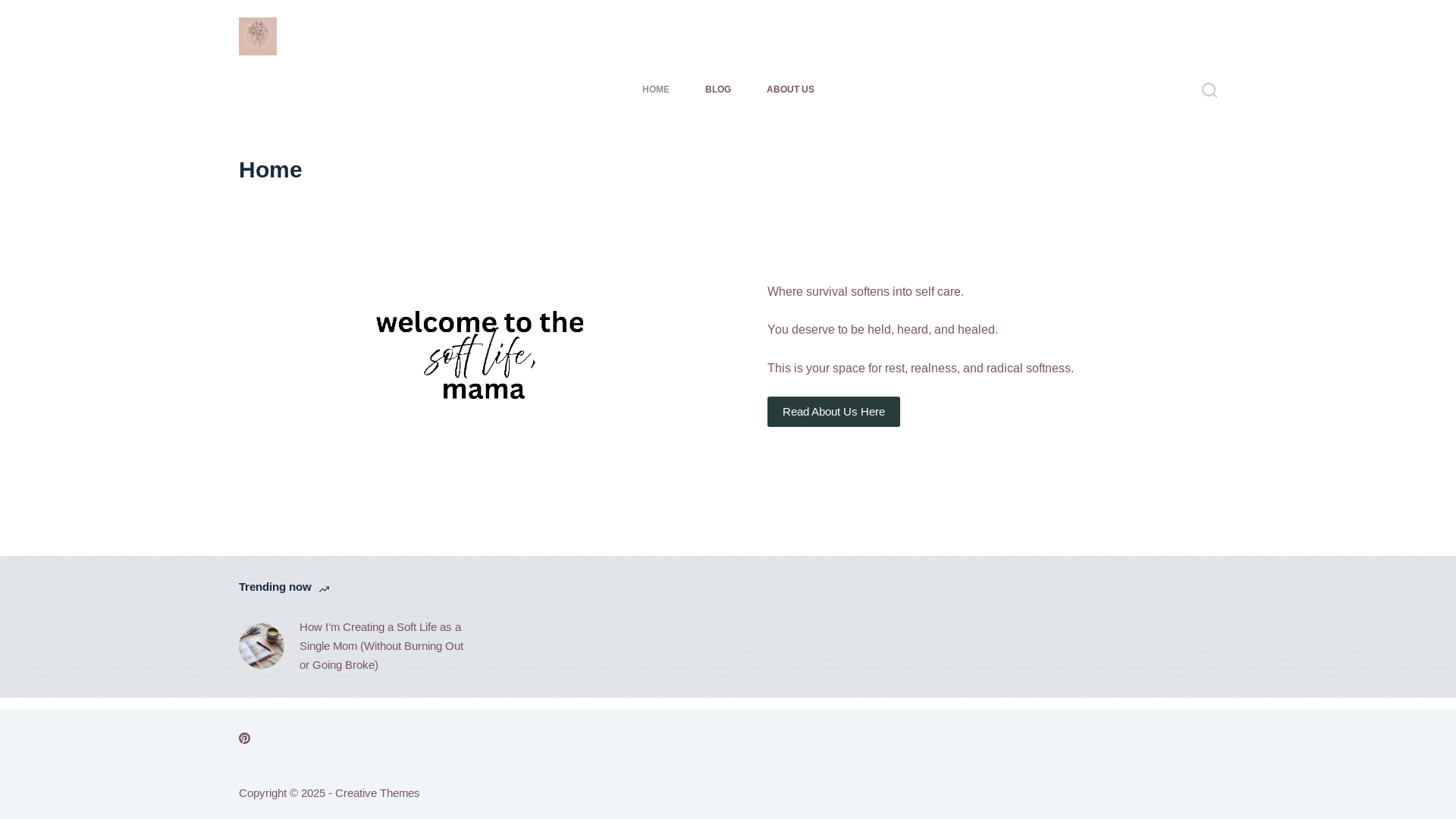 website screenshot of https://thesoftmama.com/
