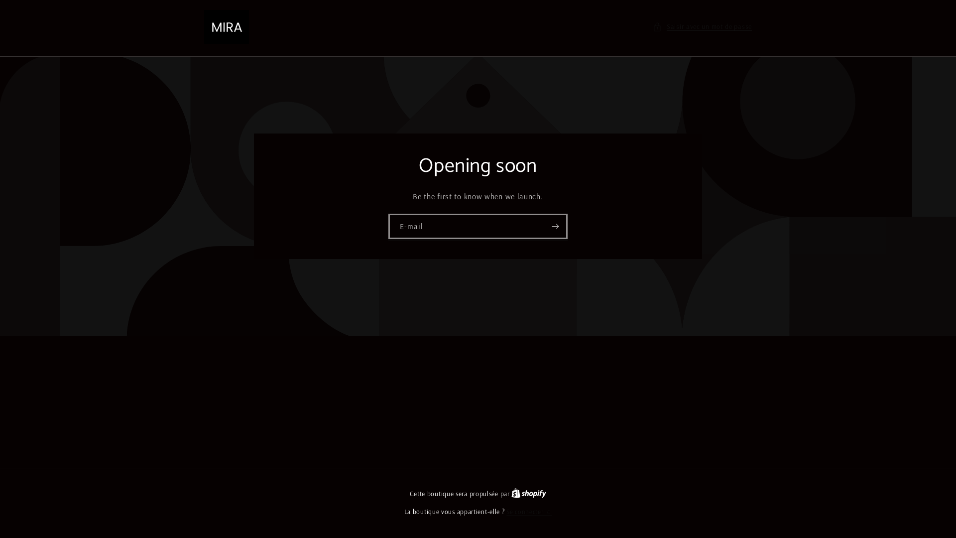 website screenshot of https://theward.fr/