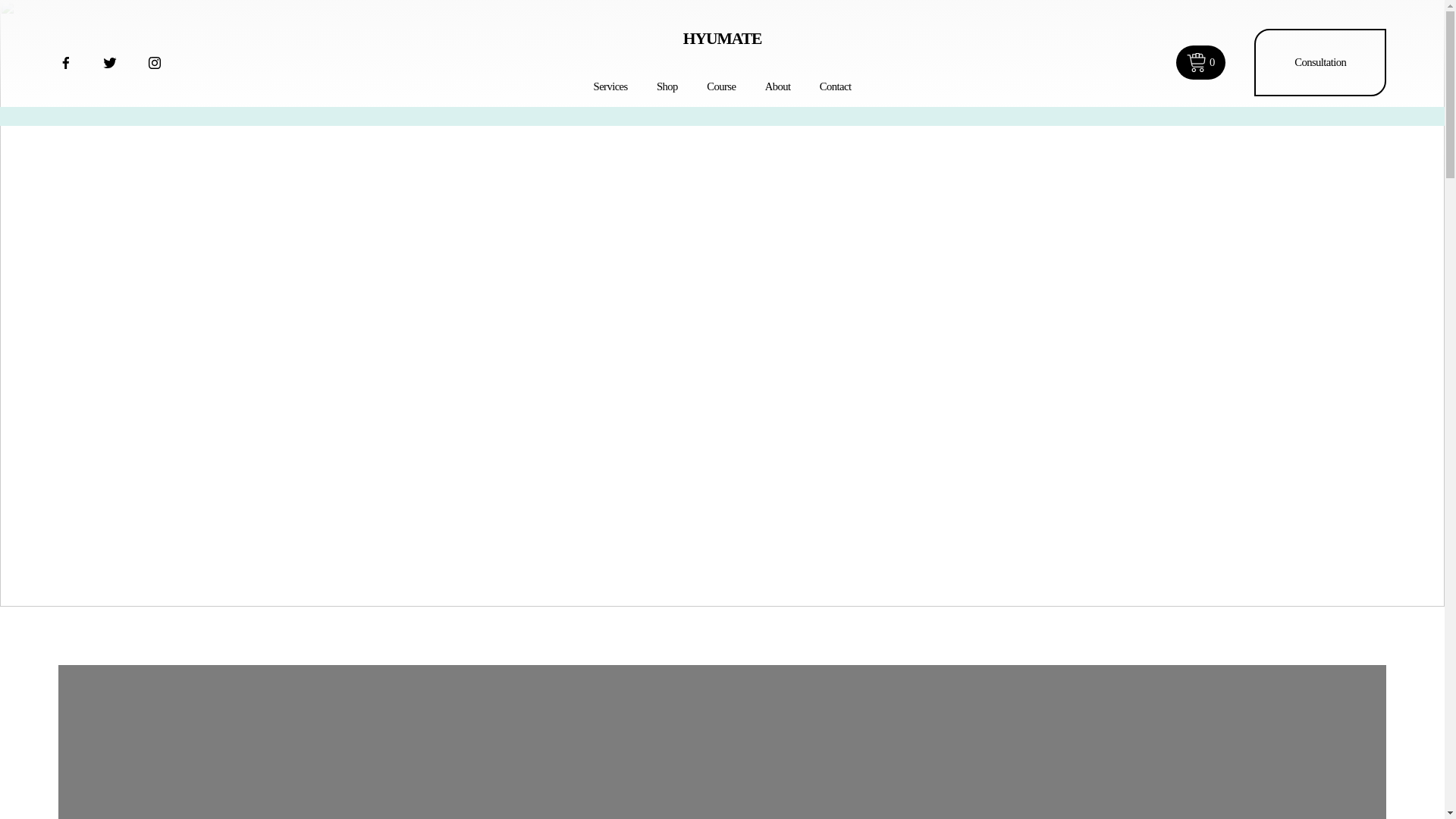website screenshot of https://hyumate.com/