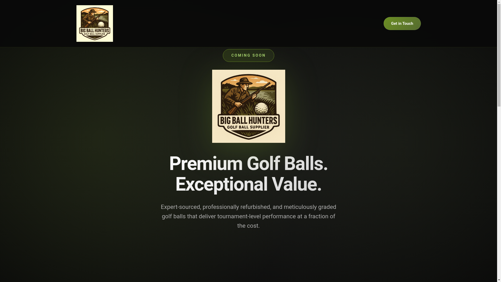 website screenshot of https://bigballhunters.pages.dev/