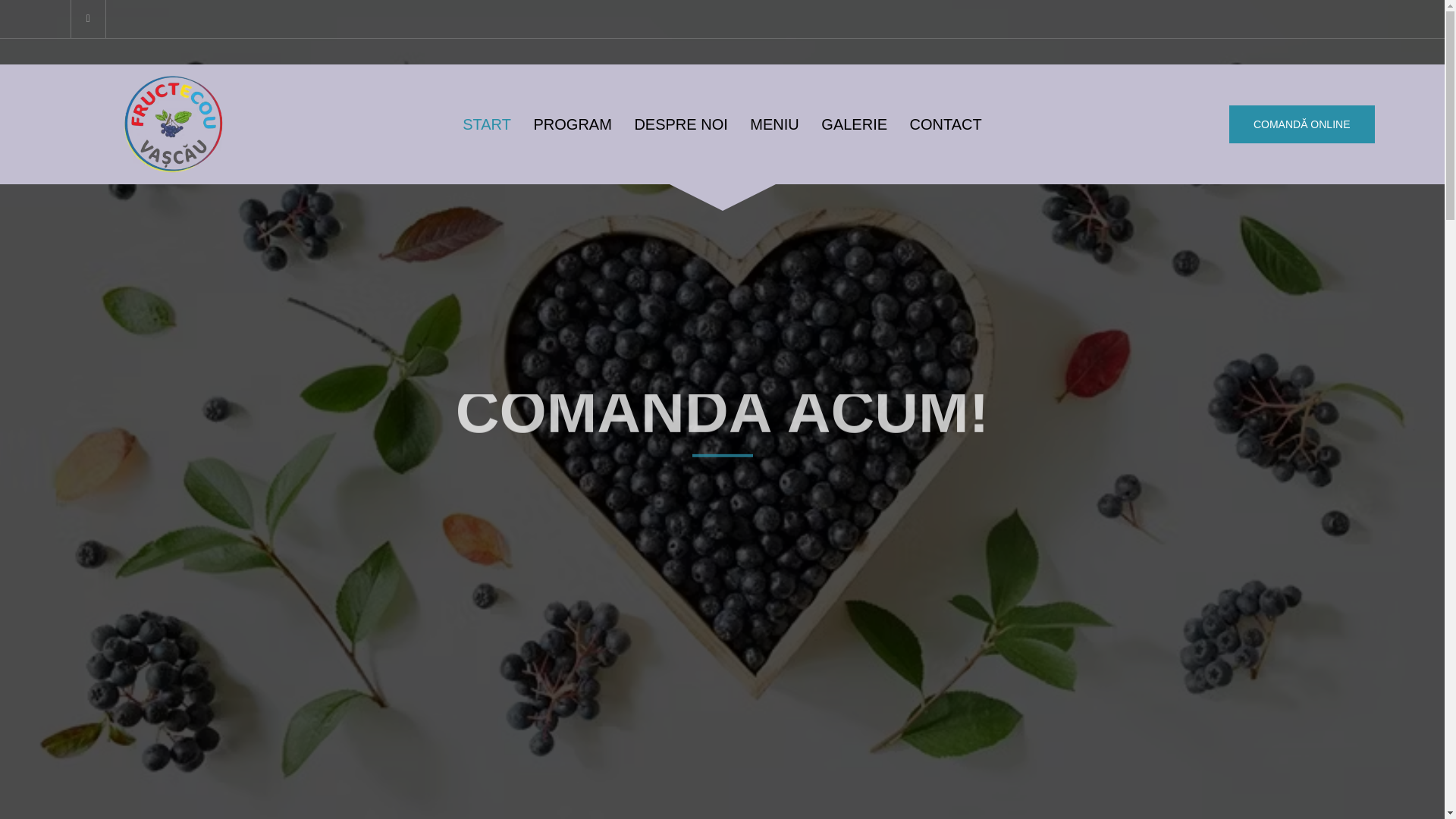 website screenshot of https://aroniafructecou.ro/
