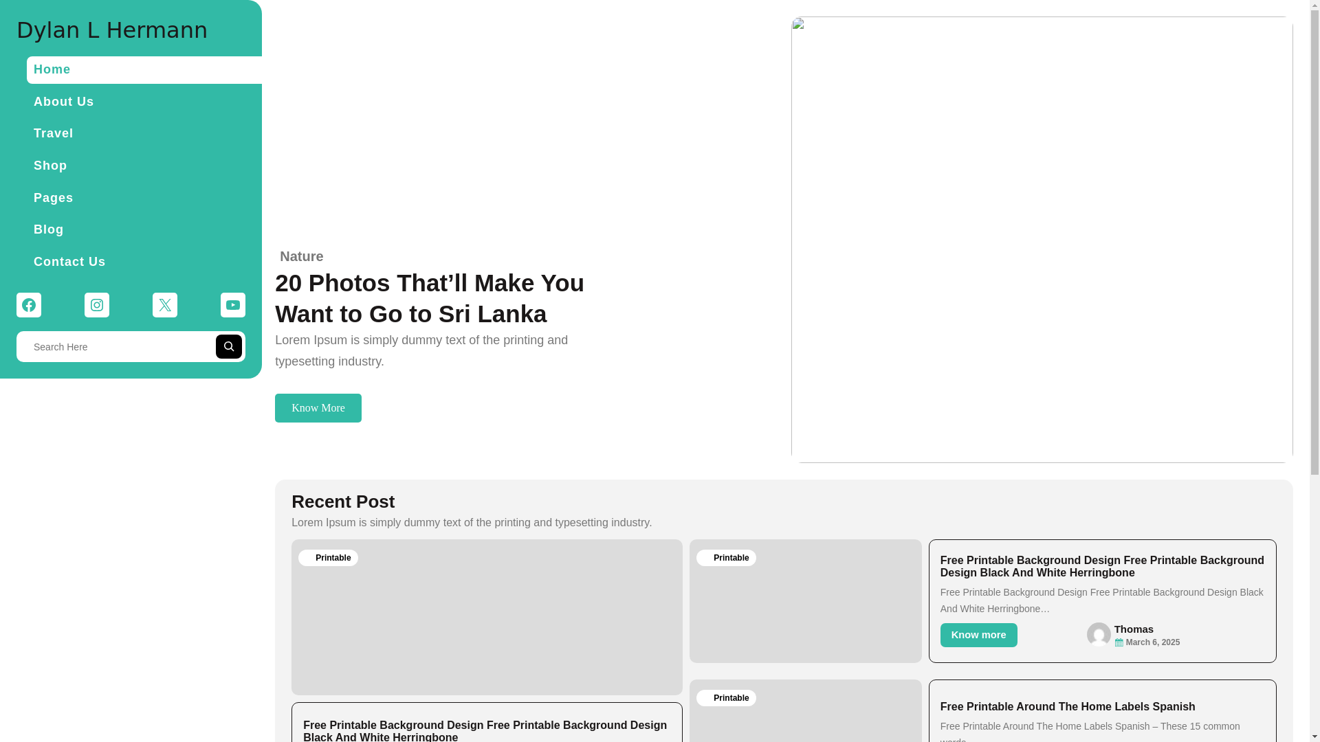 website screenshot of https://dylanlhermann.pages.dev/