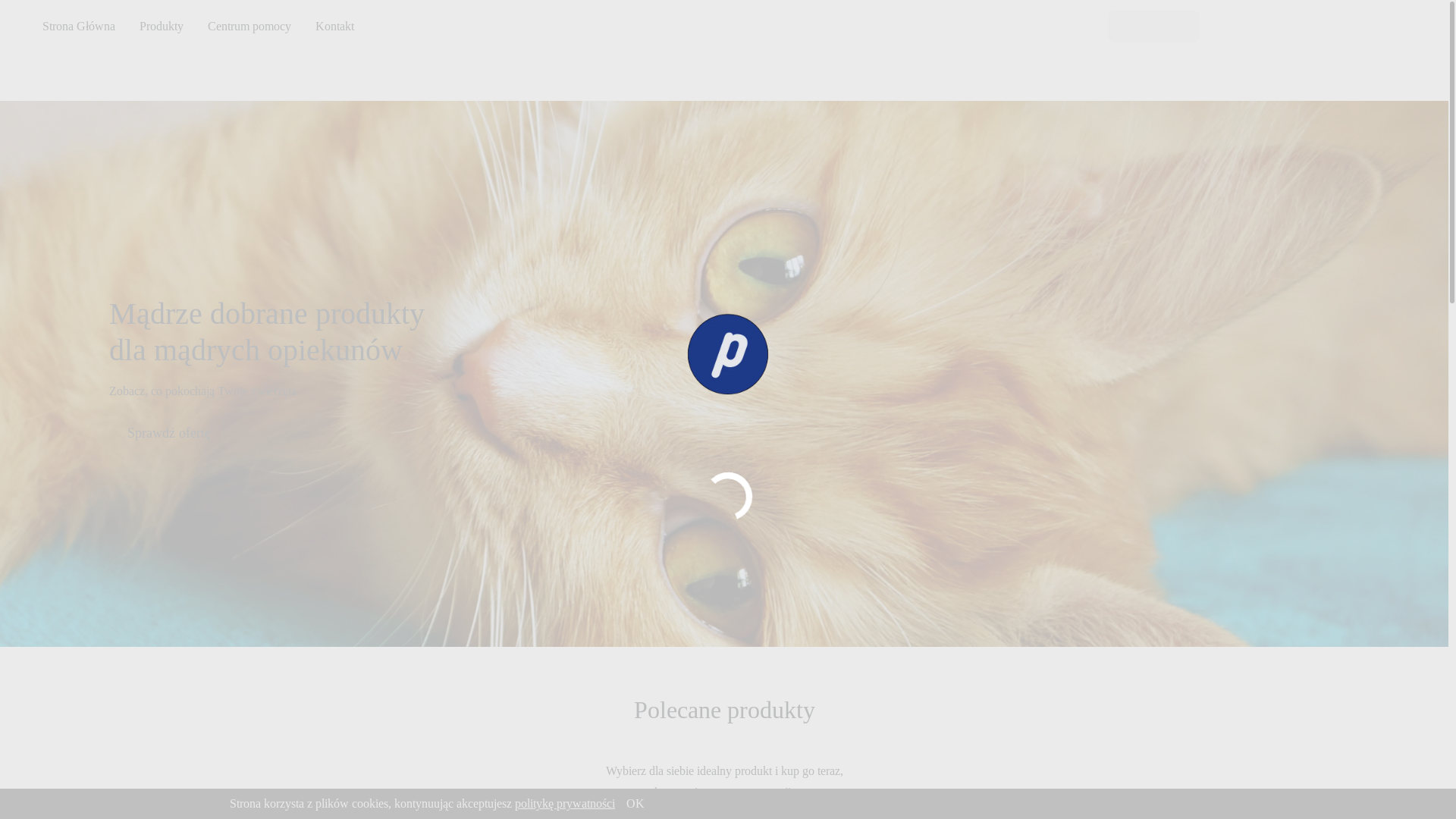 website screenshot of https://pavero.pl/