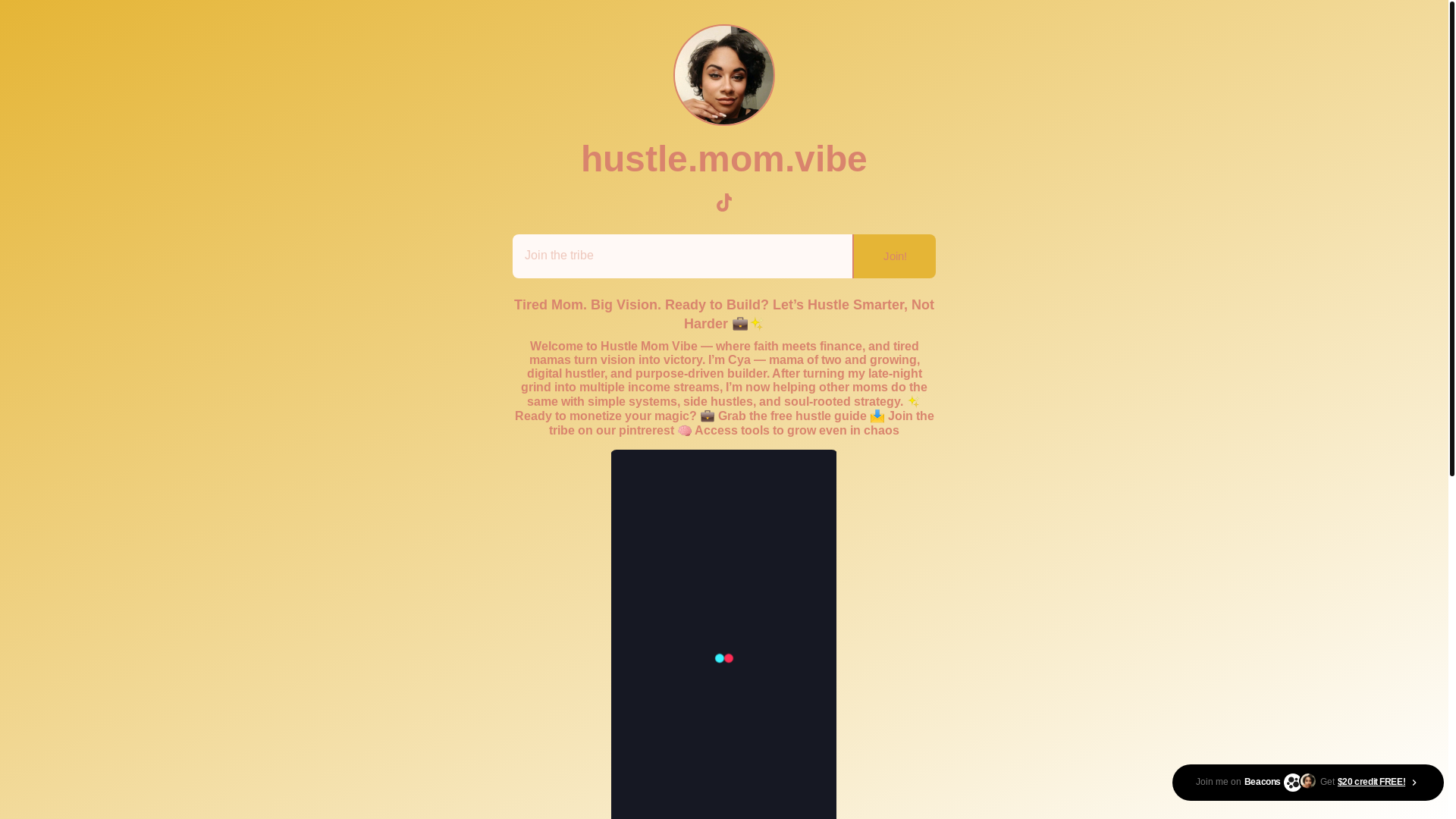 website screenshot of https://hustlemomvibe.com/