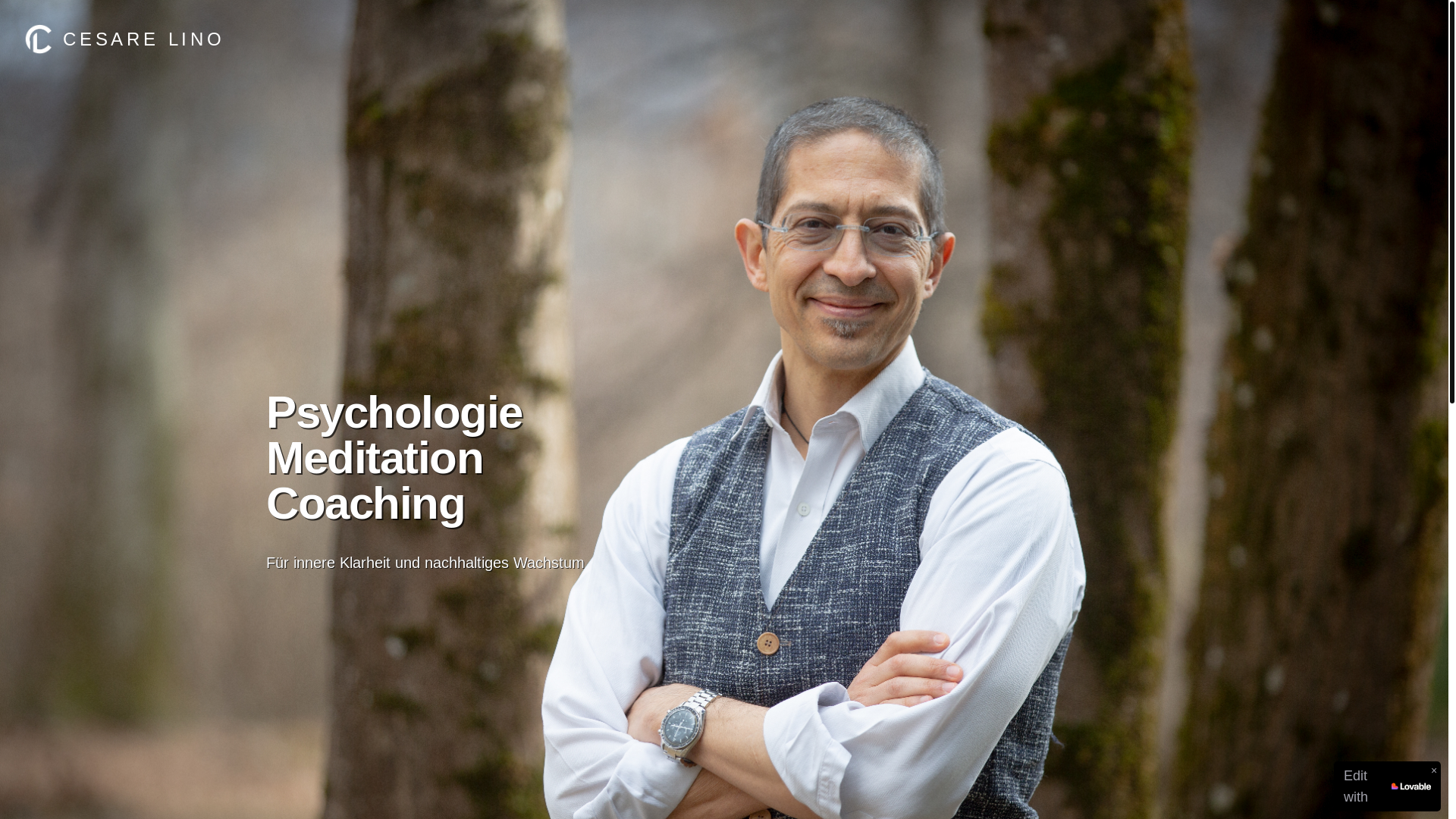 website screenshot of https://cesarelino.at/