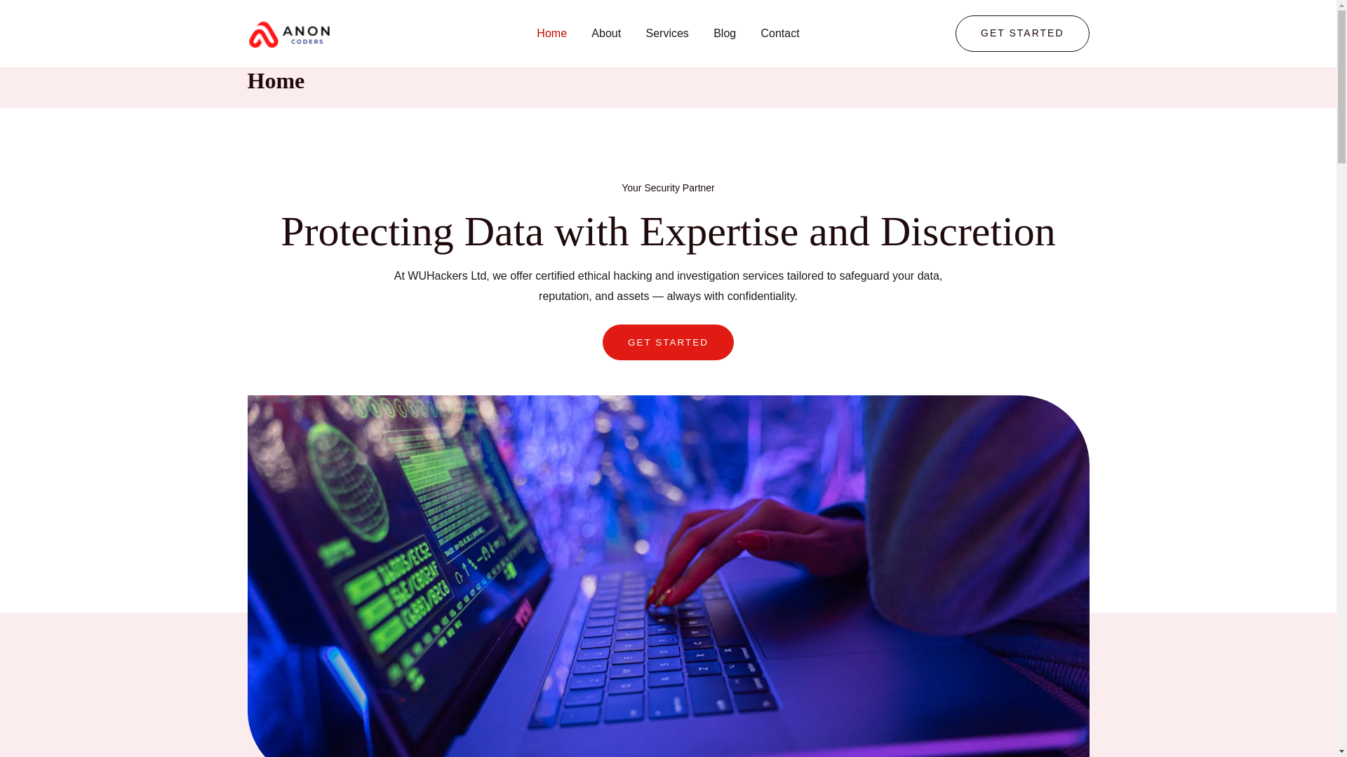 website screenshot of https://www.wuhacker.com