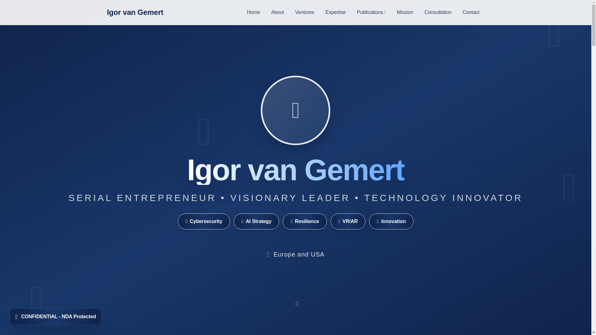 website screenshot of https://igorvangemert.com/