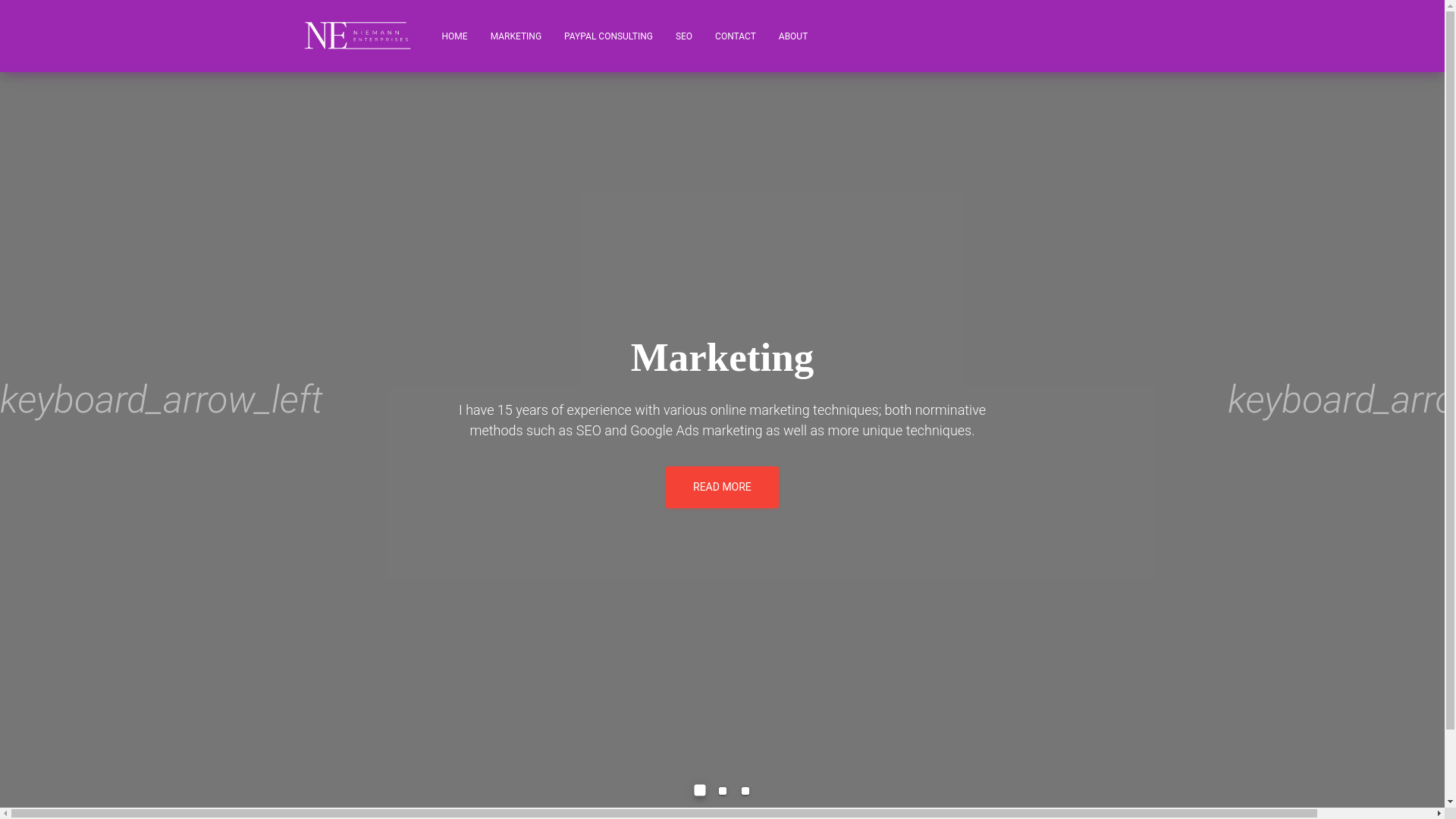 website screenshot of https://niemann-enterprises.pages.dev/