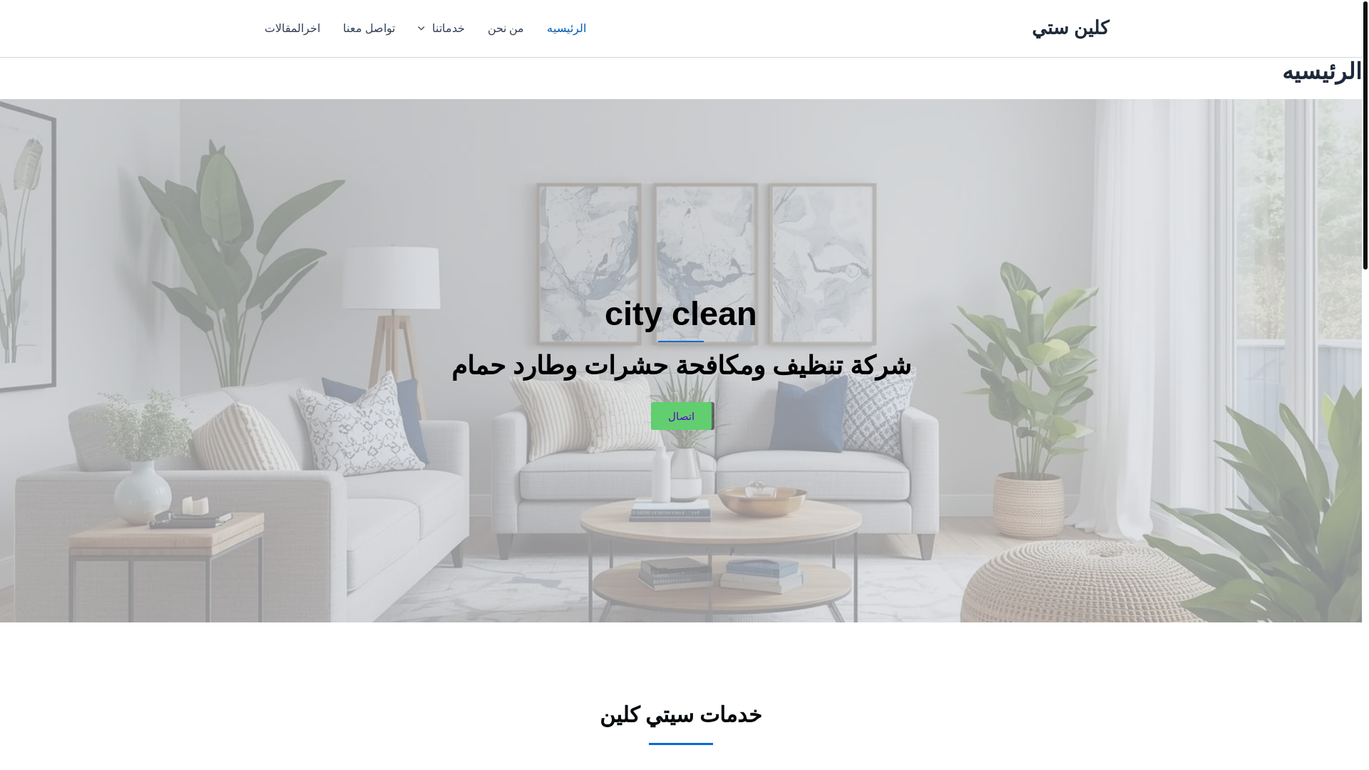 website screenshot of https://cityclean1.com/