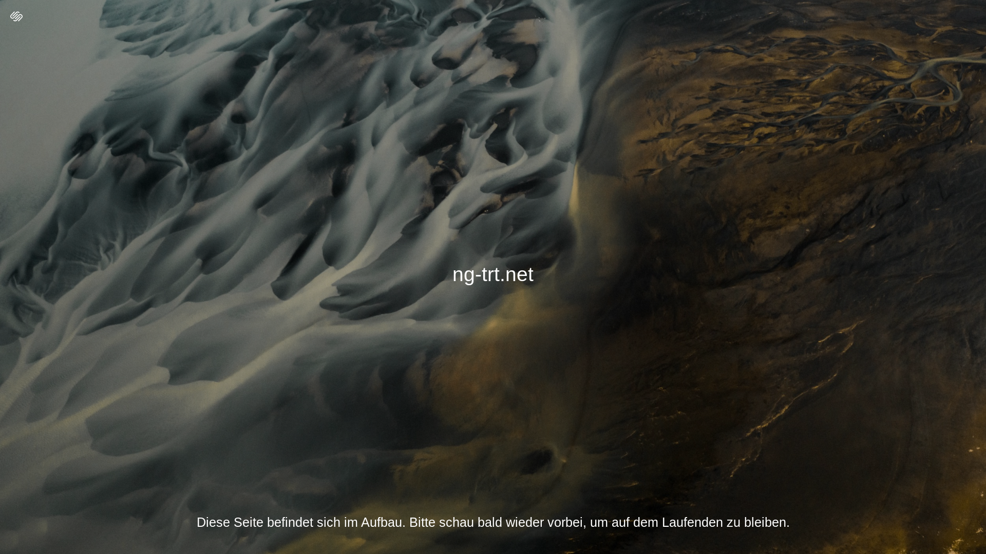 website screenshot of https://ng-trt.net/