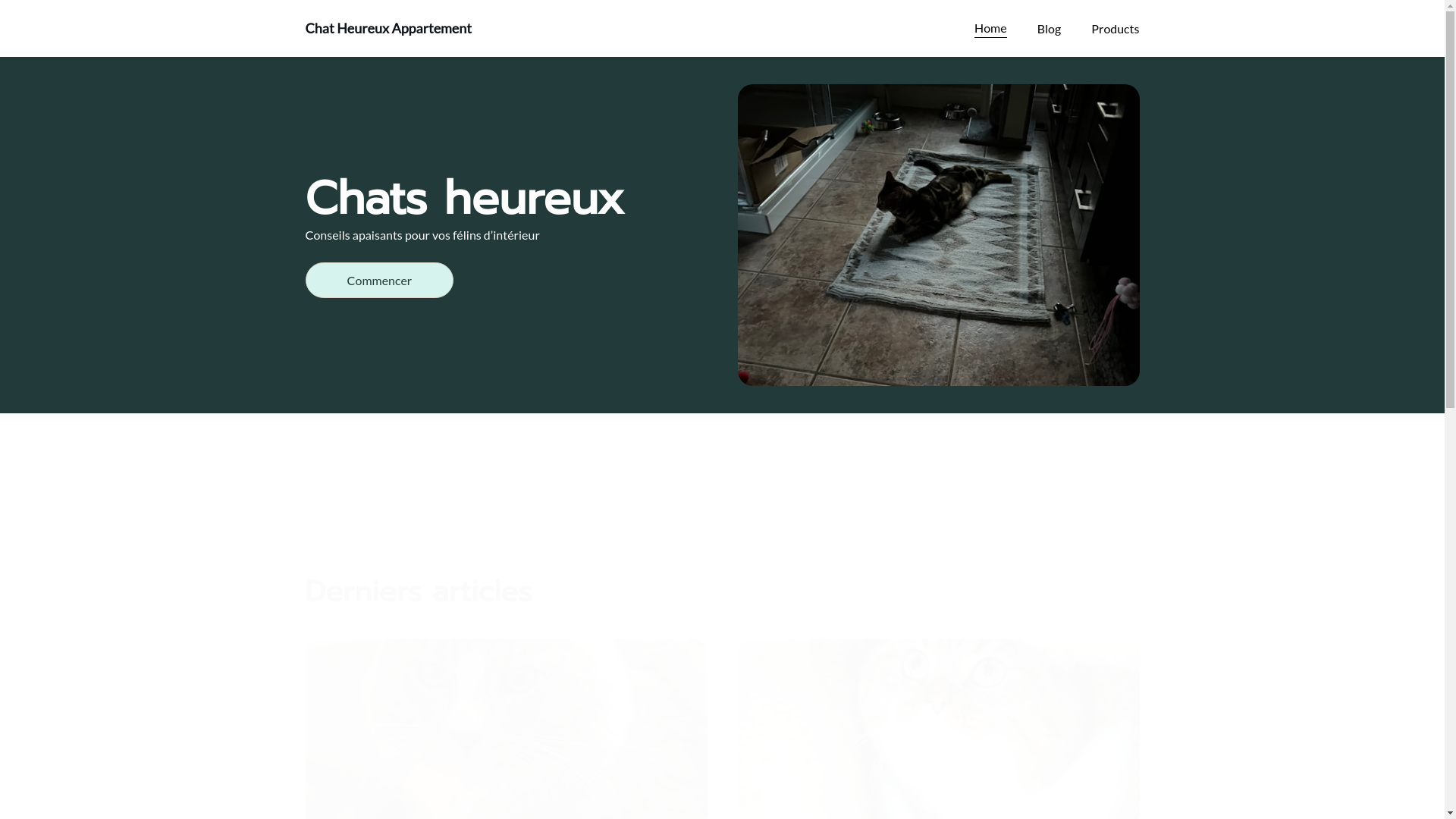 website screenshot of https://chat-heureux-appartement.fr/
