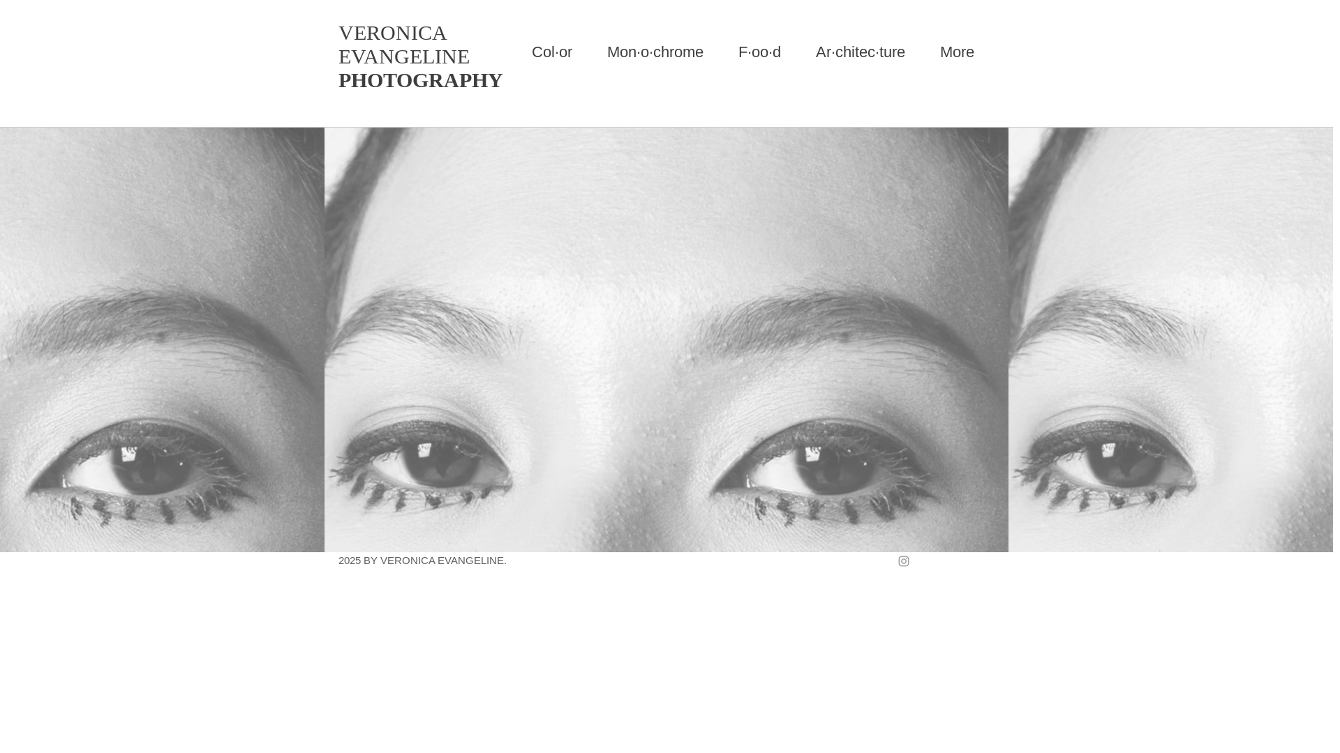 website screenshot of https://vanessaevangeline.com/