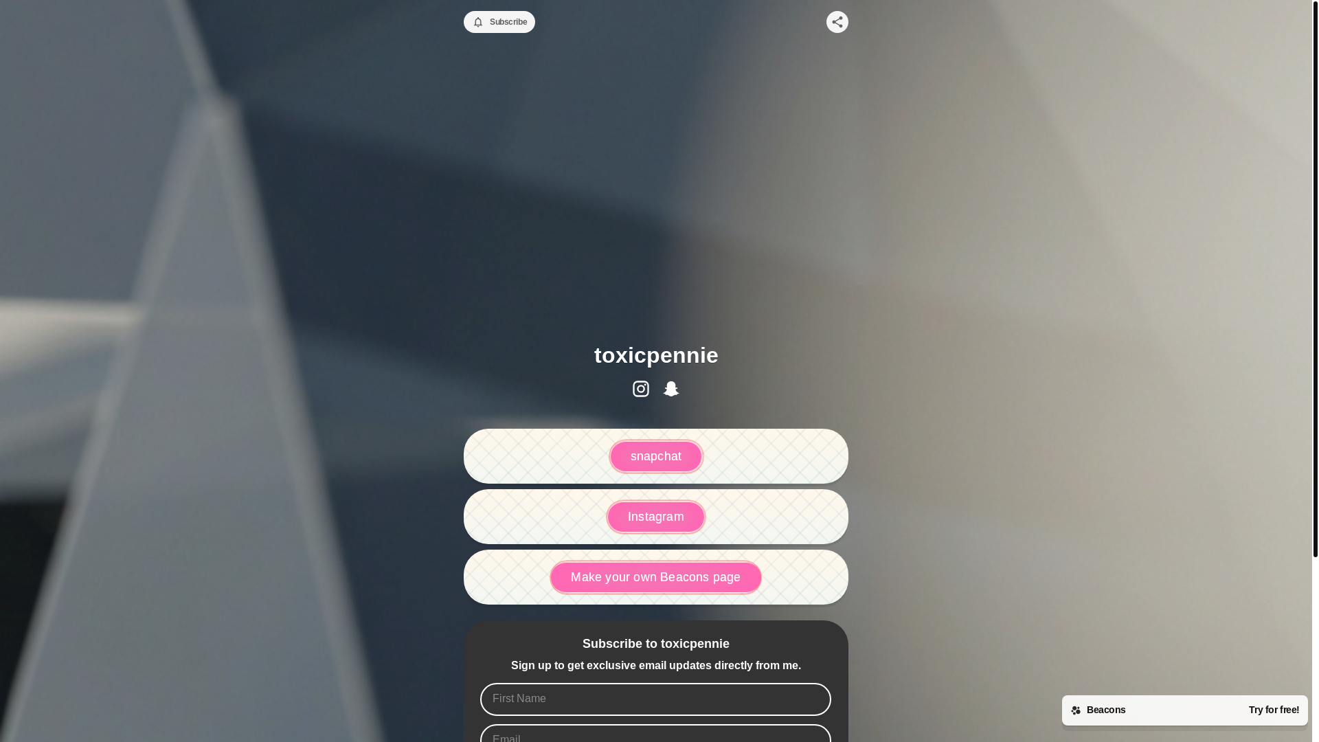 website screenshot of https://toxicpennie.com/