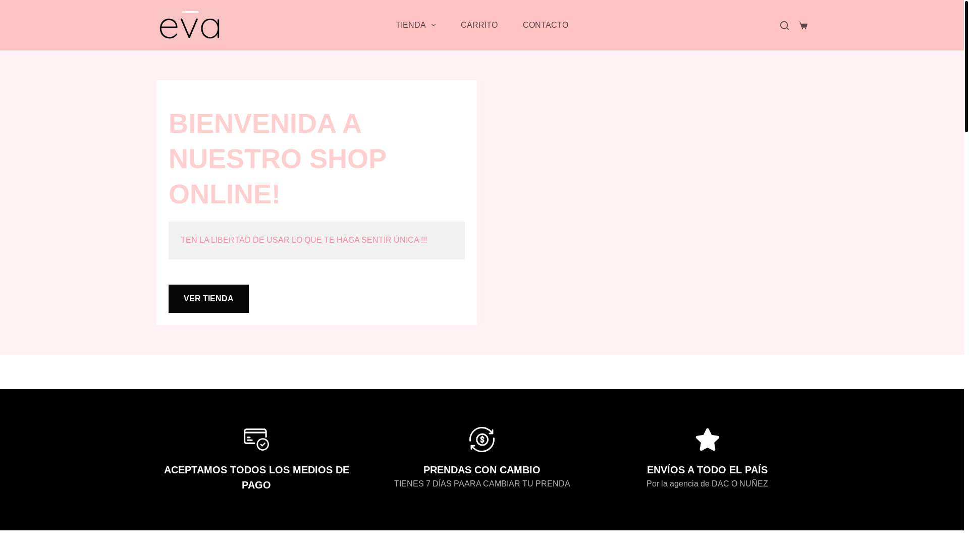 website screenshot of https://evauyy.com/