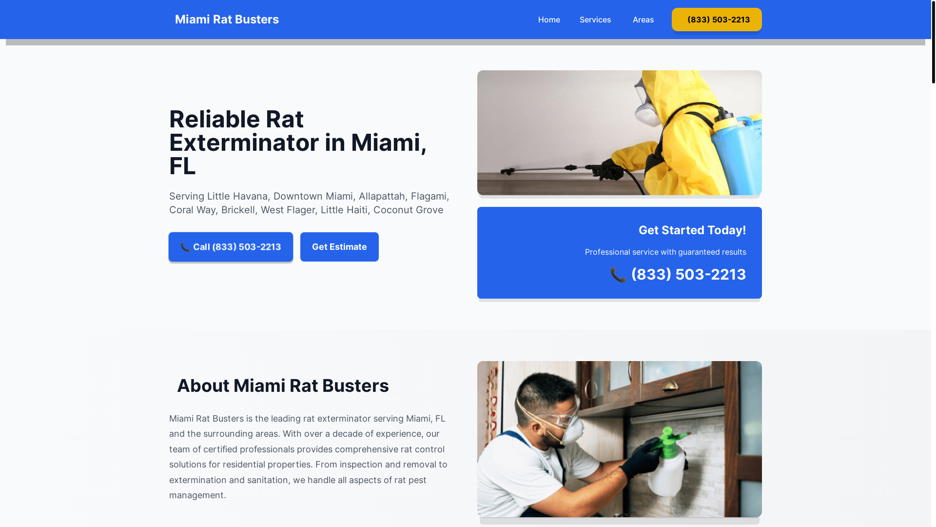 website screenshot of https://ratexterminatormiamifl.pages.dev/
