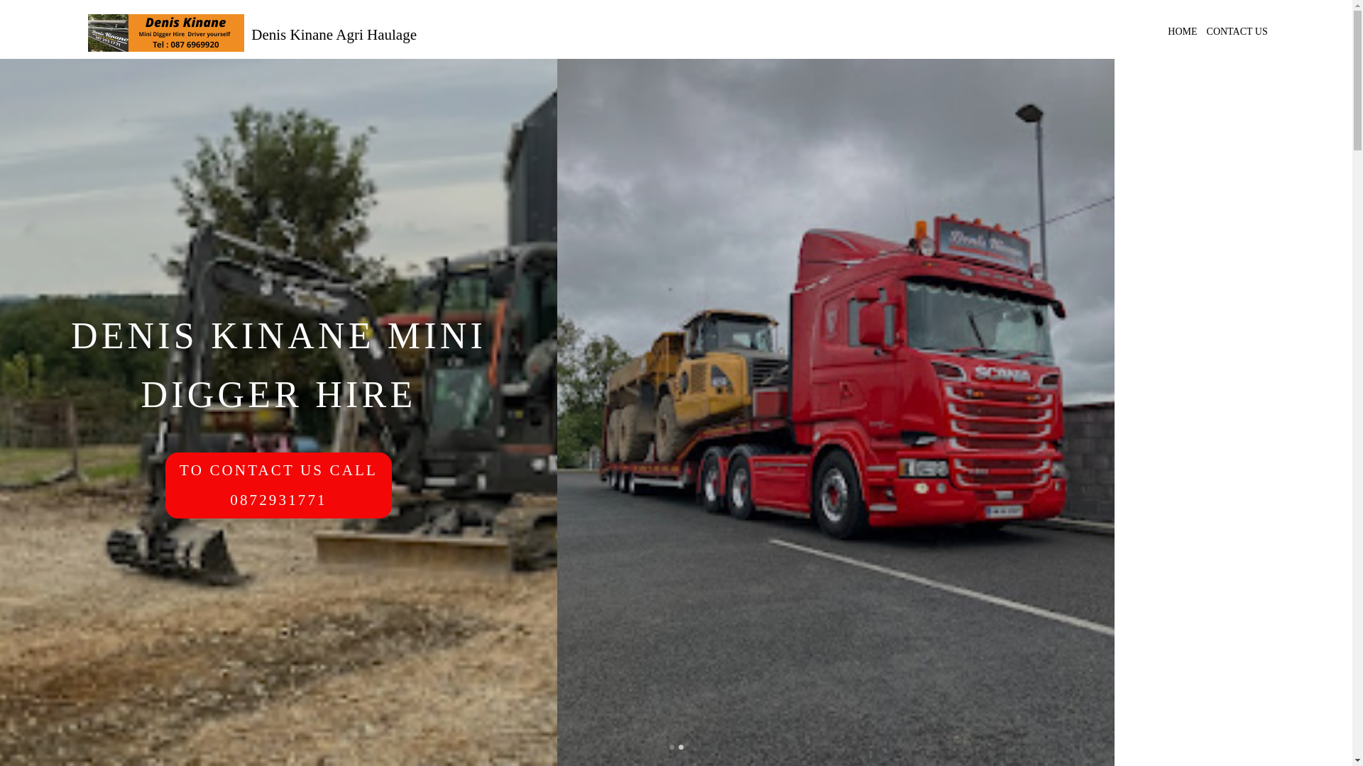 website screenshot of https://deniskinaneminidiggerhire.com/