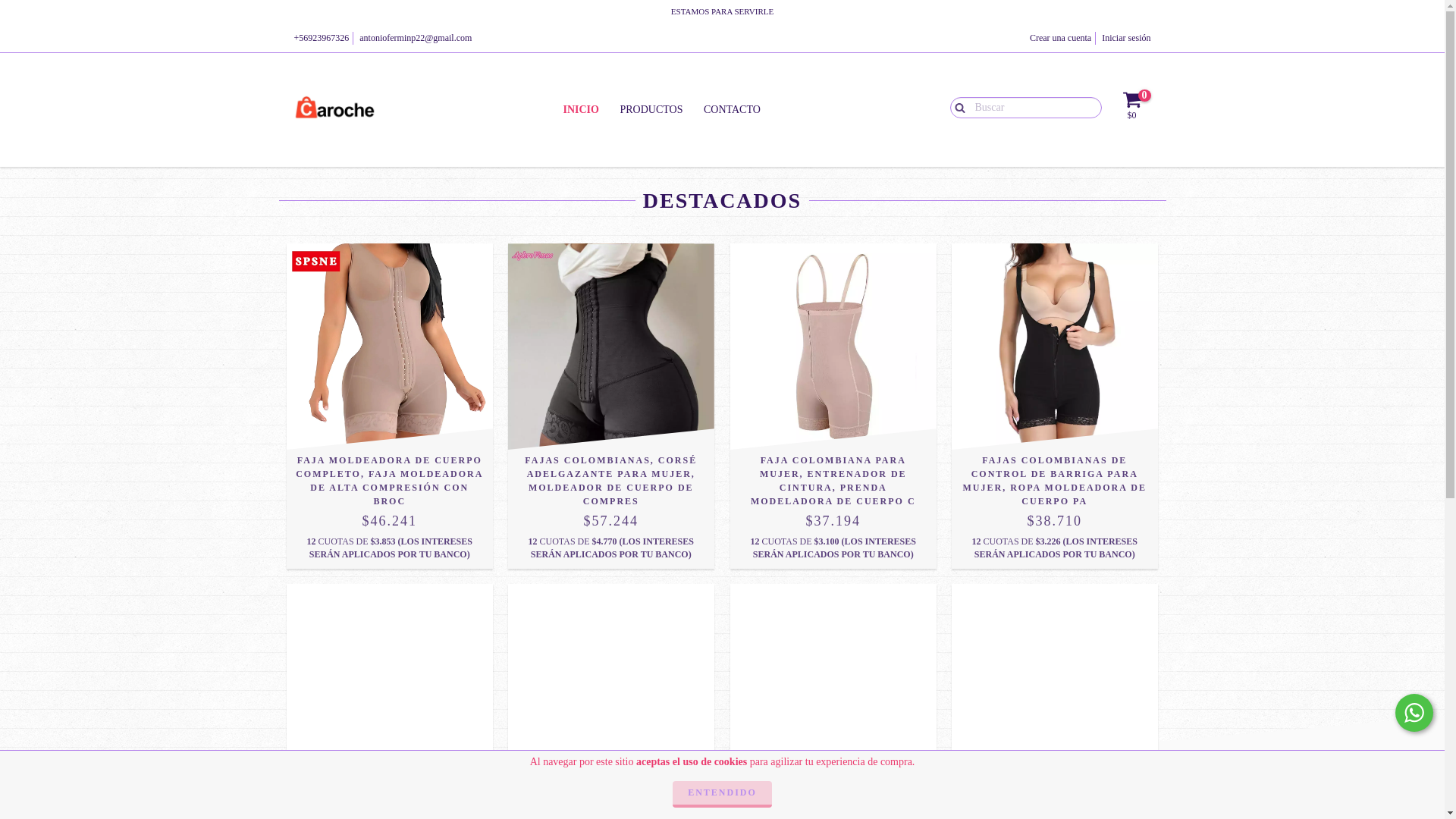 website screenshot of https://caroche.cl/