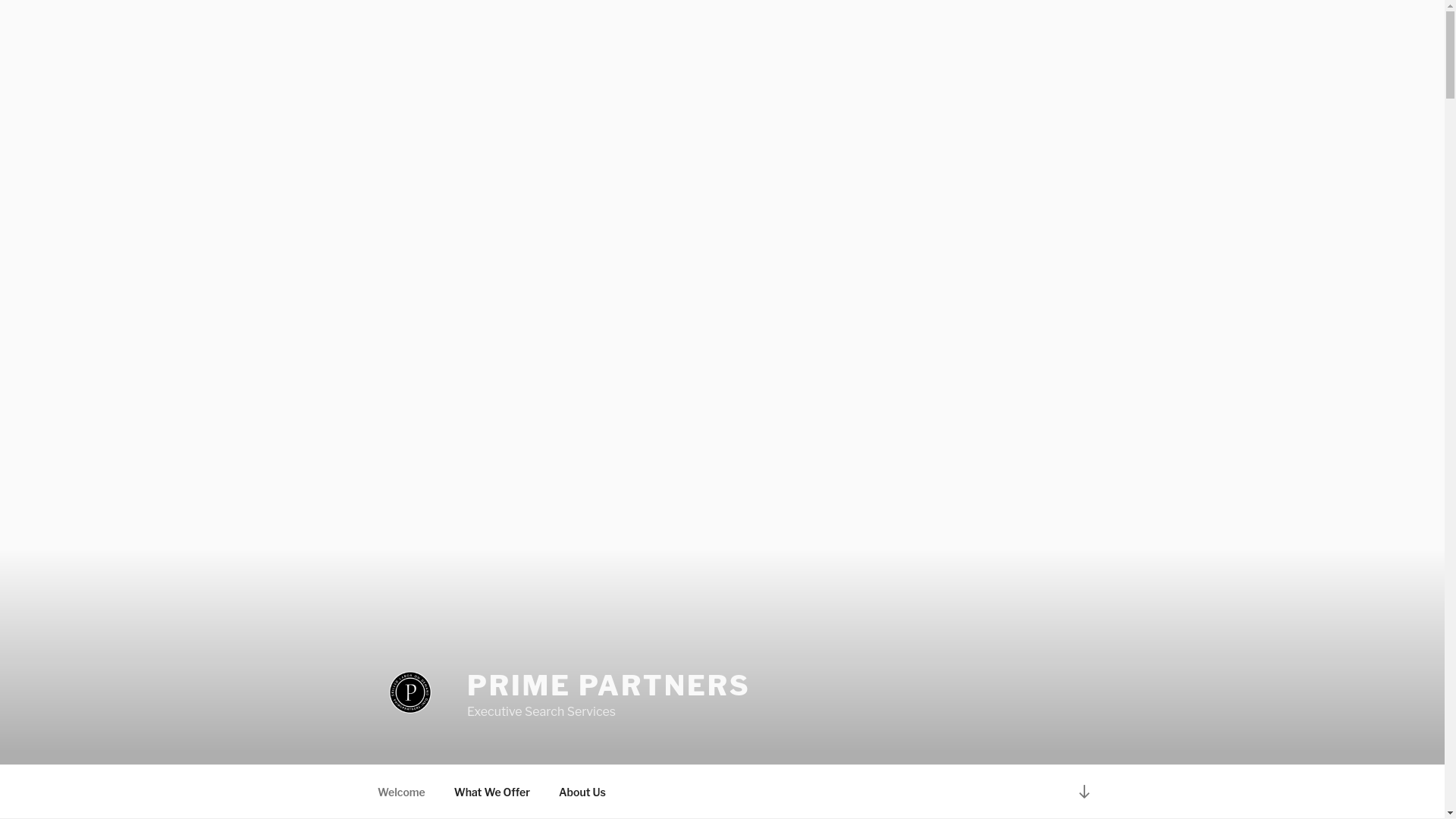 website screenshot of https://useprimepartners.com/