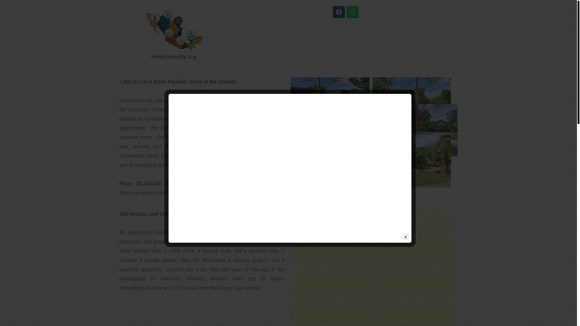website screenshot of https://mexicorealty.org/